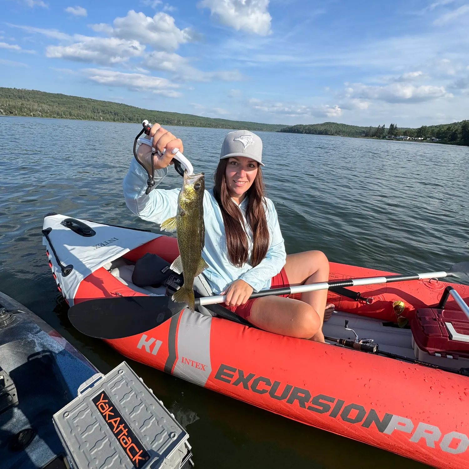 Walleye caught on Fishbrain