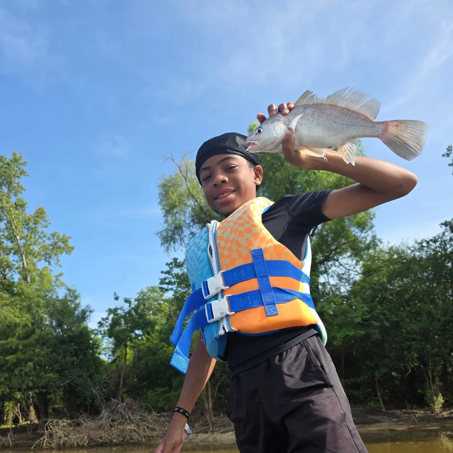 The most recent Freshwater drum catches on Fishbrain