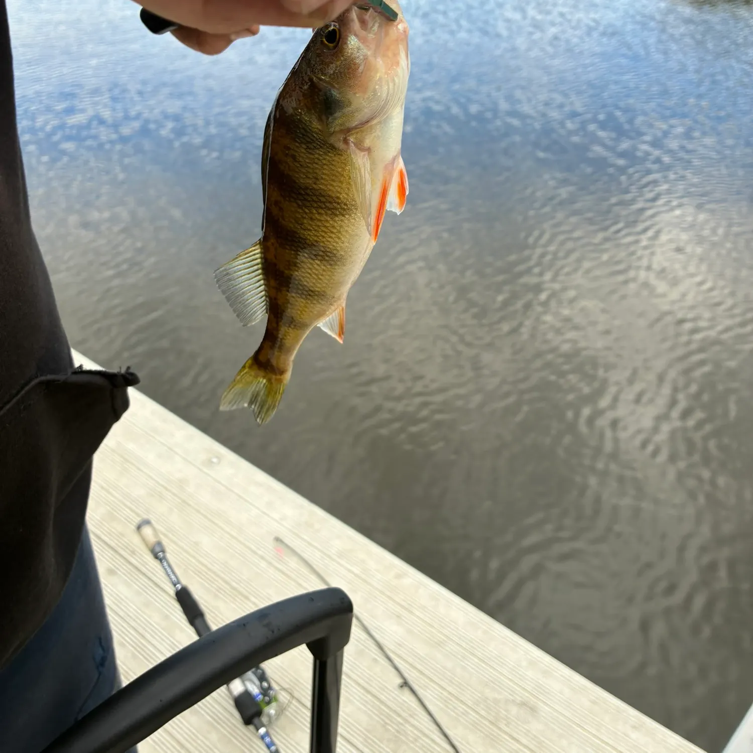 Fish caught on Fishbrain