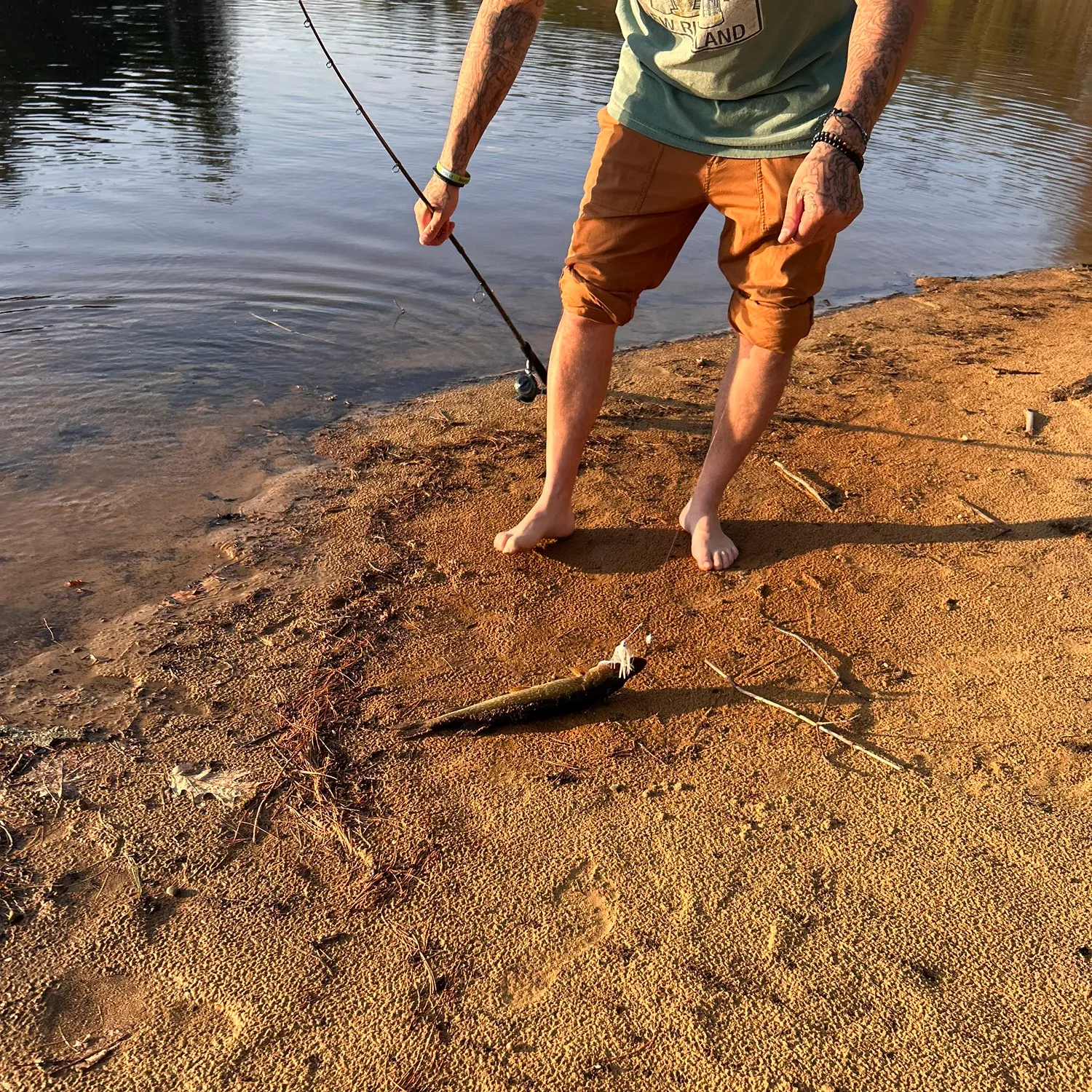 recently logged catches
