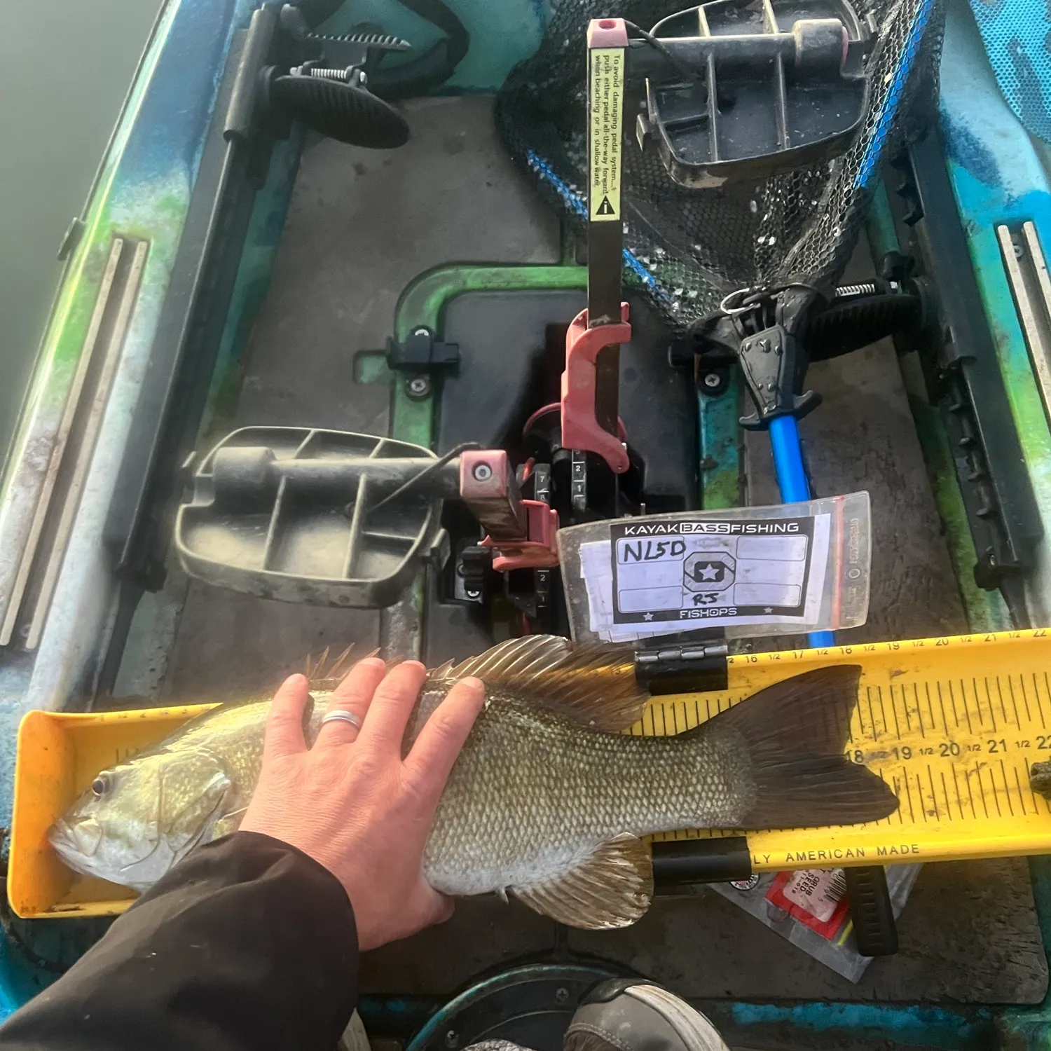 Smallmouth bass caught on Fishbrain