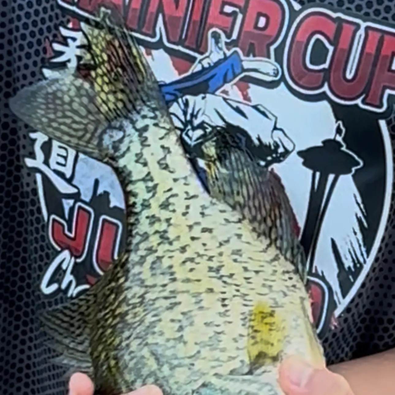 Black crappie caught on Fishbrain