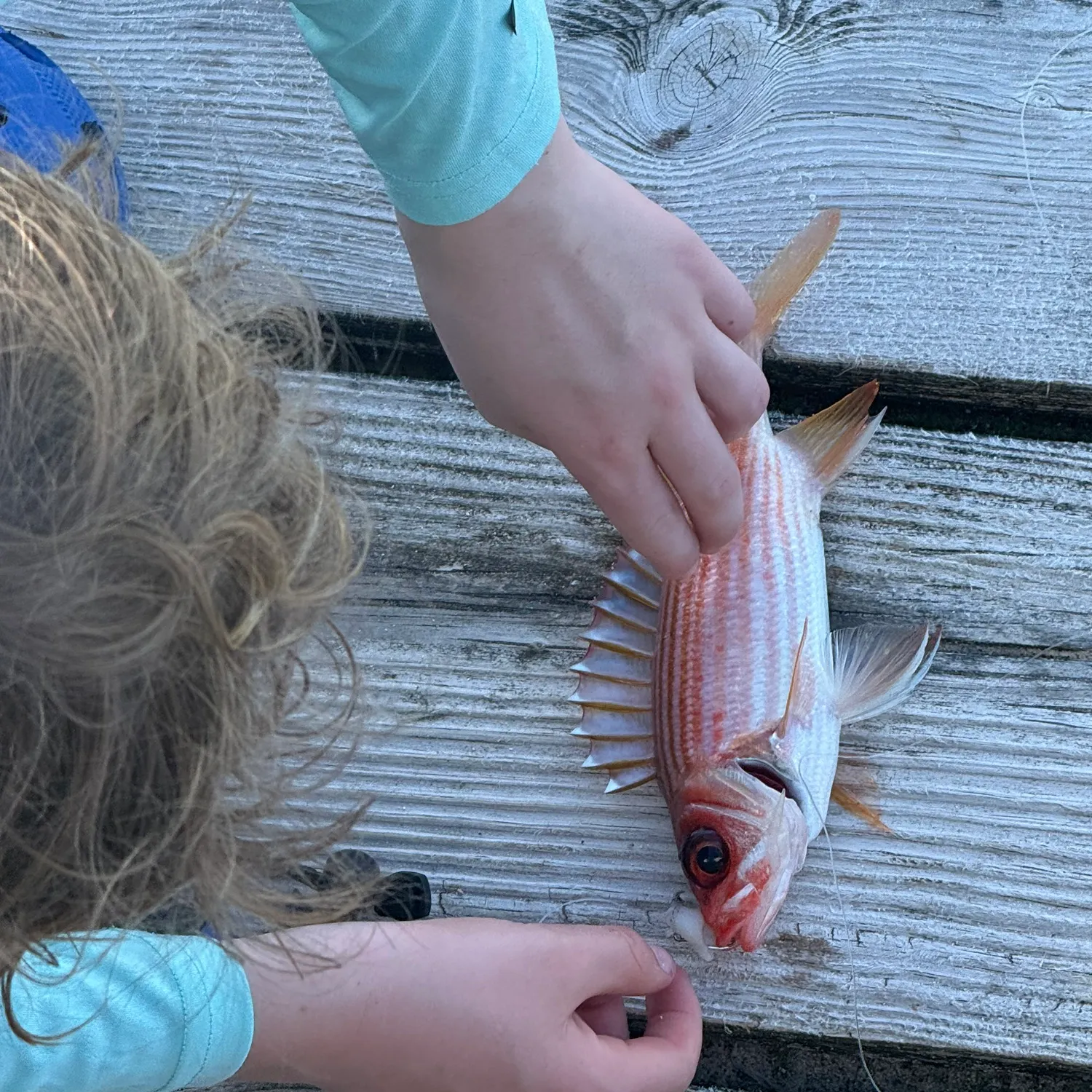 The most recent Longspine squirrelfish catches on Fishbrain
