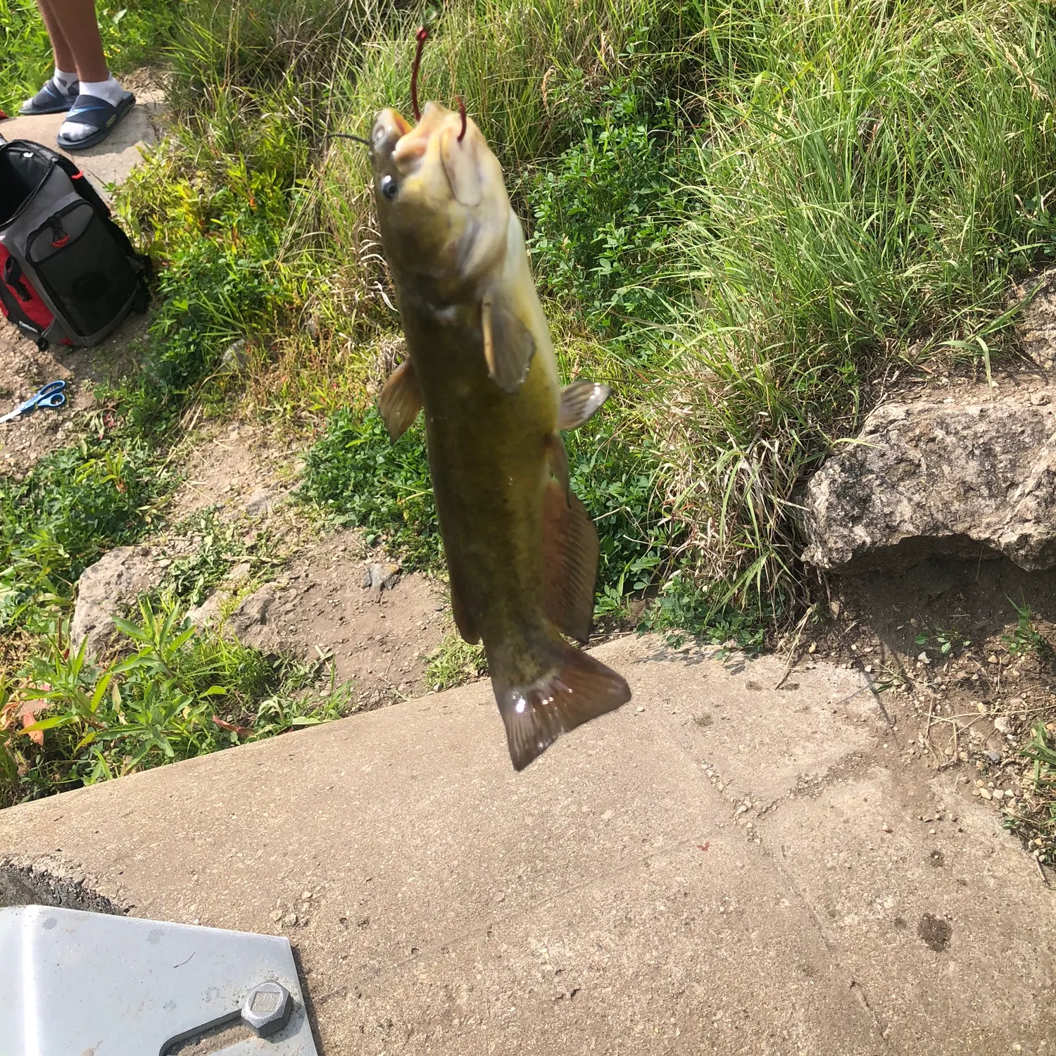 catch