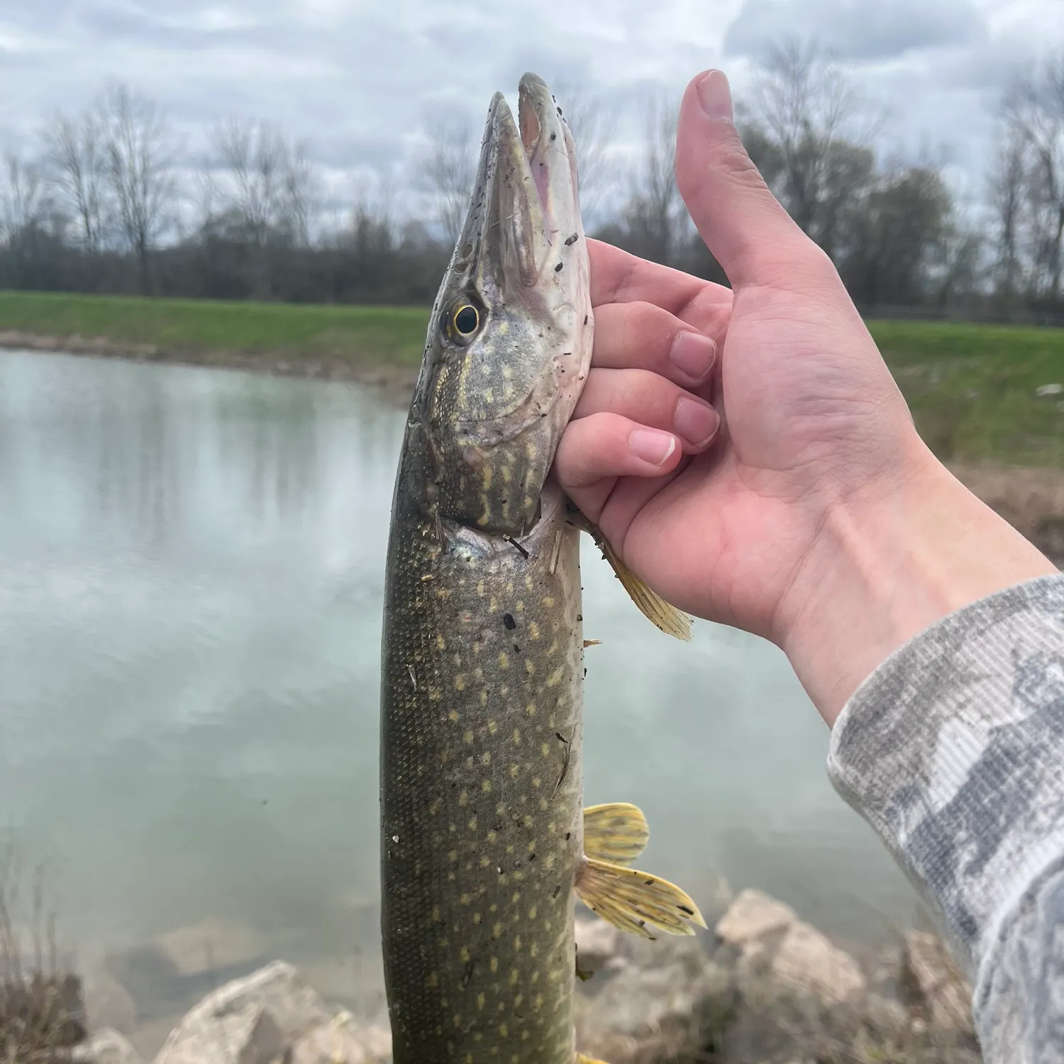 catch