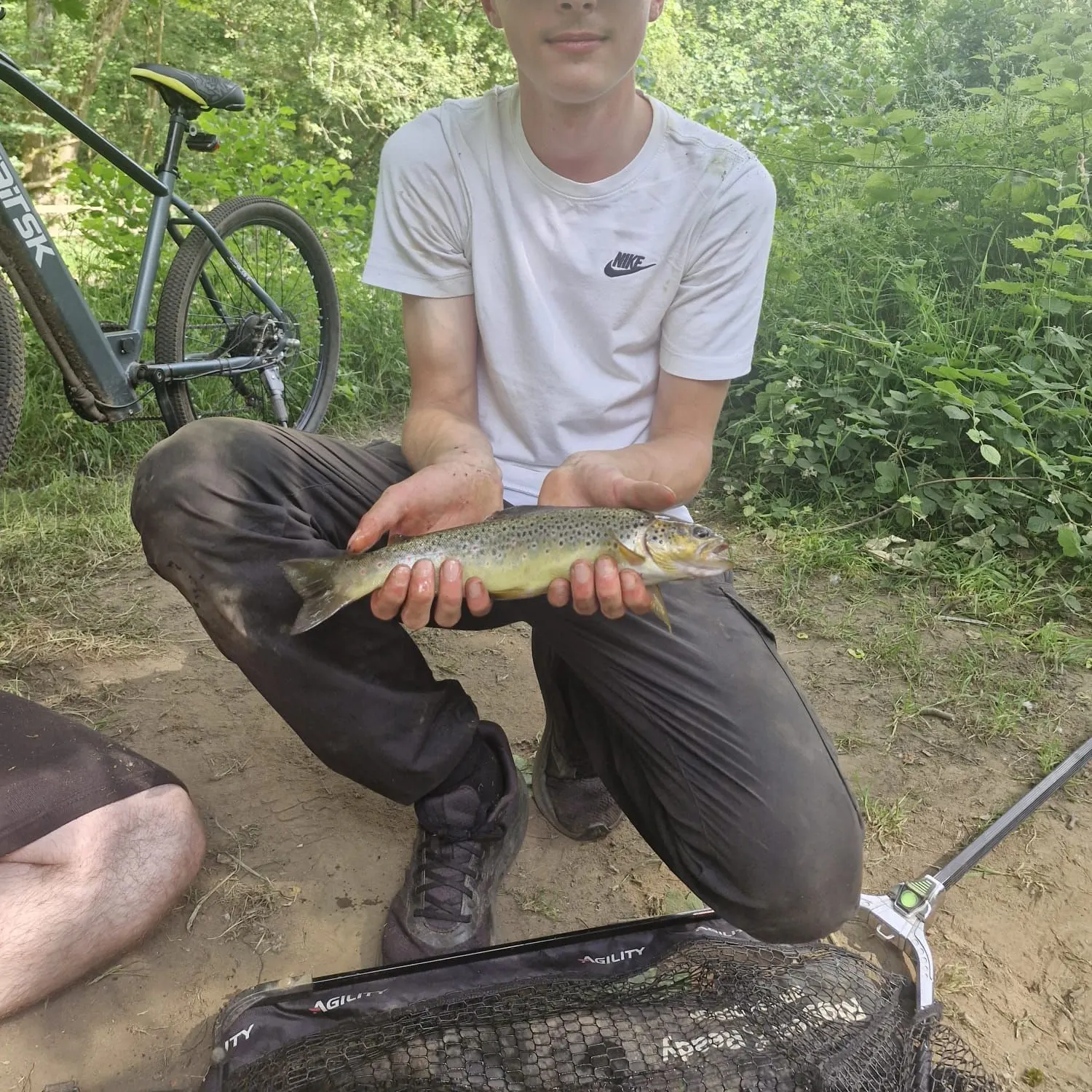 Brown trout caught on Fishbrain