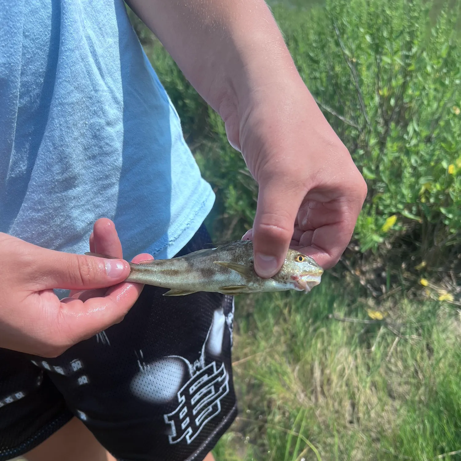 catch