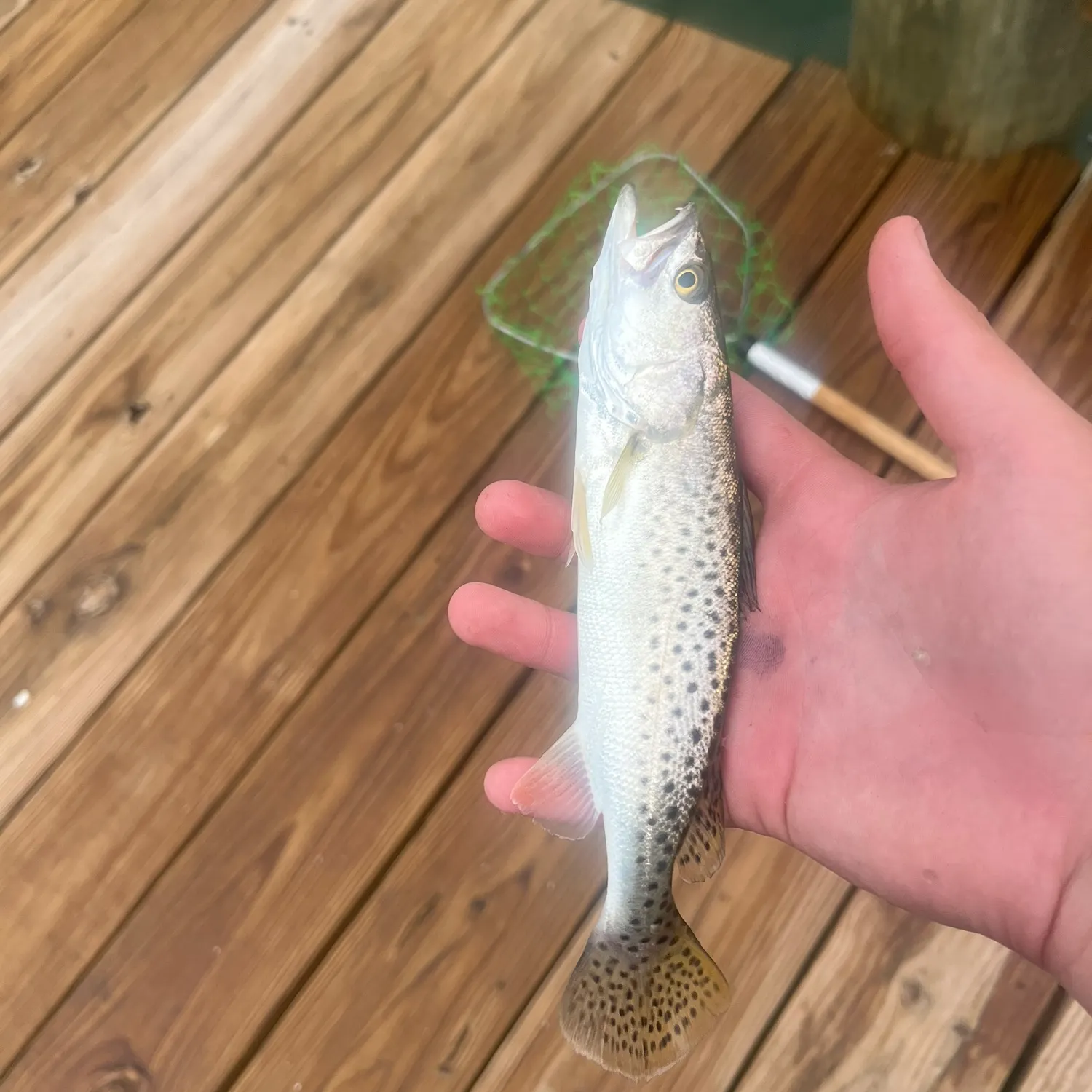 catch
