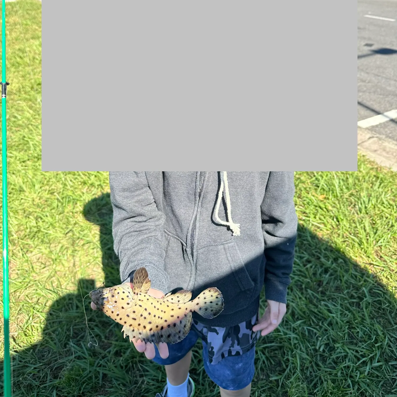 The most recent Malabar grouper catches on Fishbrain