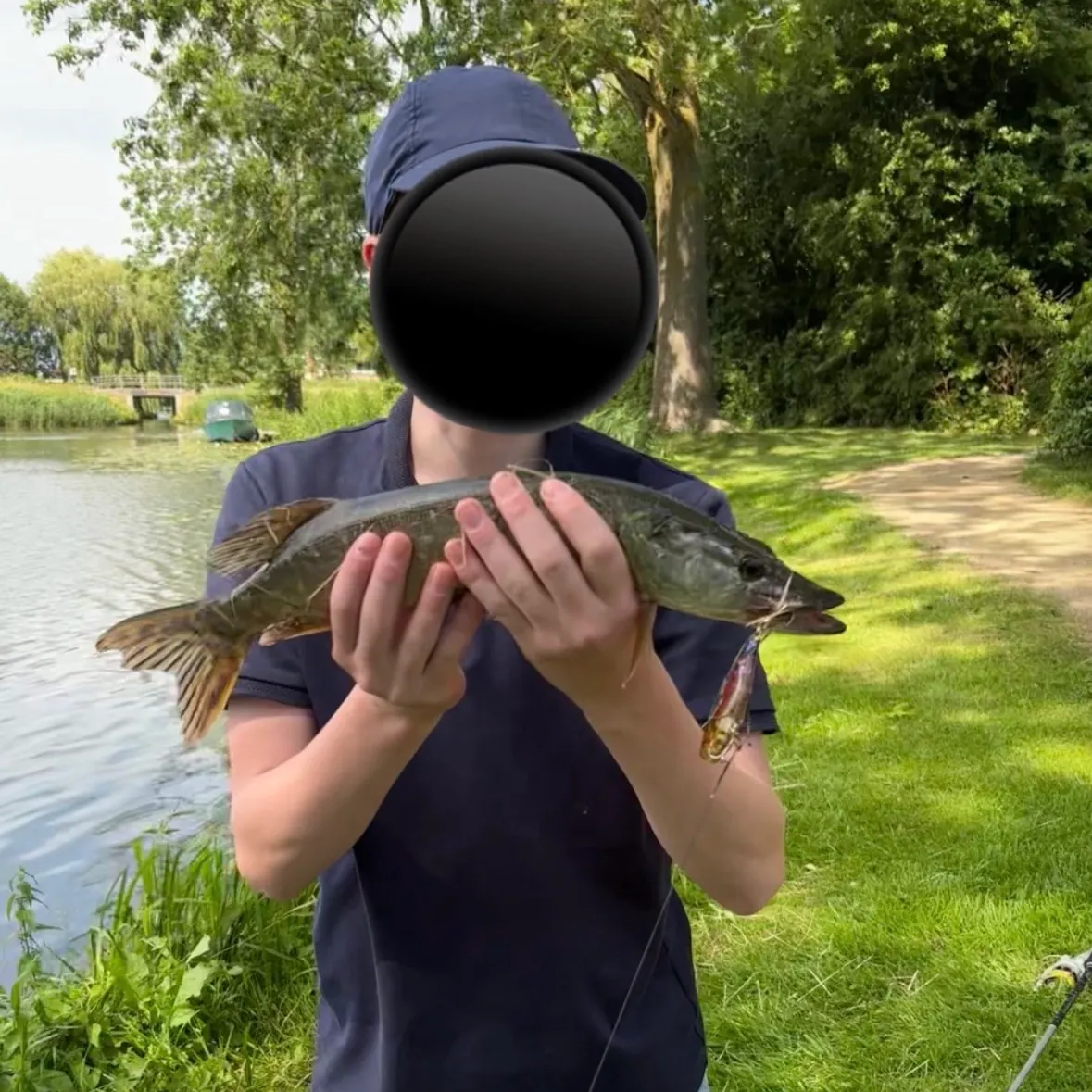 Northern pike caught on Fishbrain