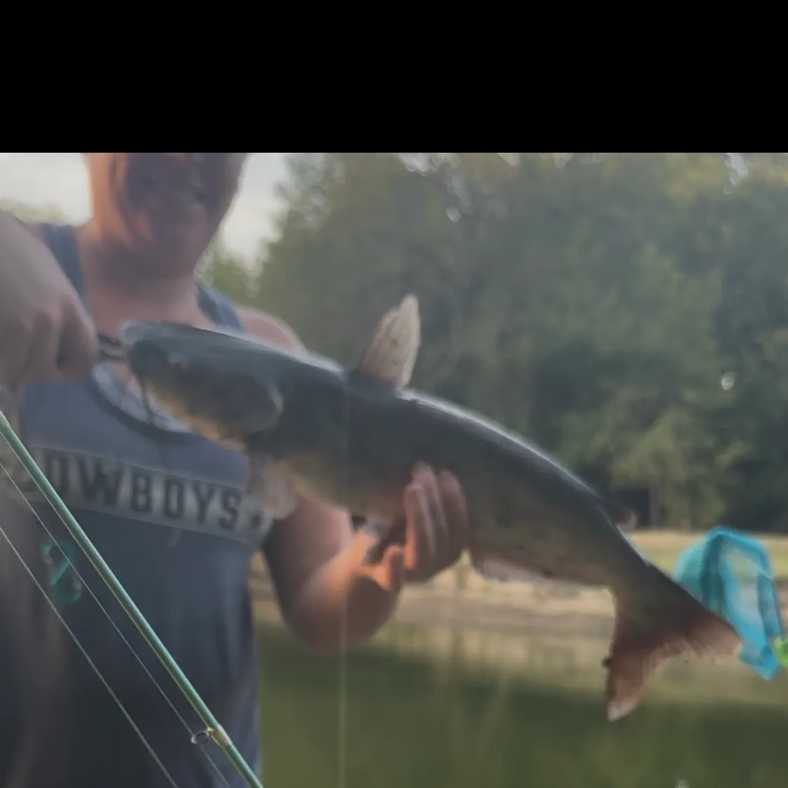 Channel catfish caught on Fishbrain