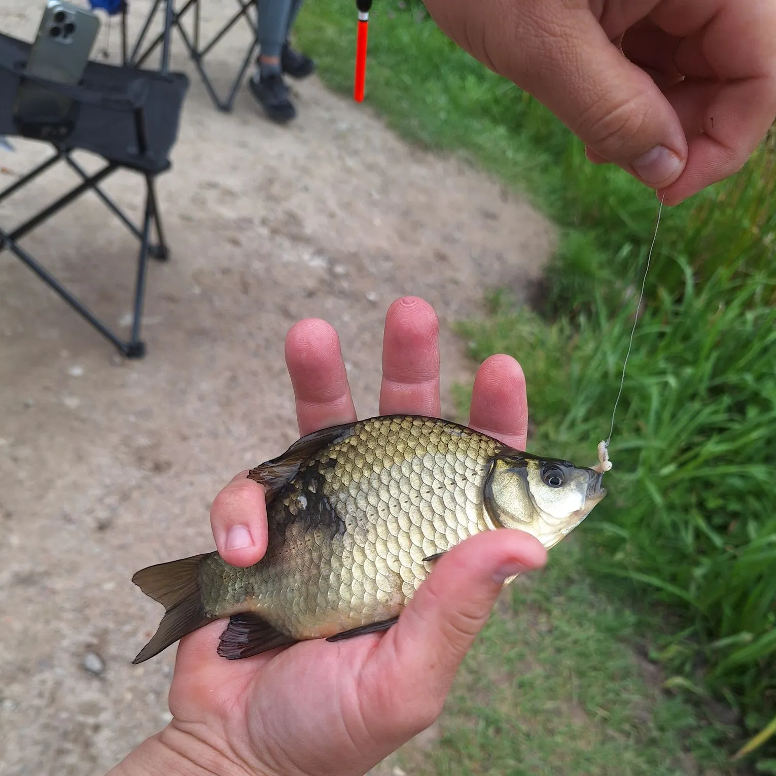 catch