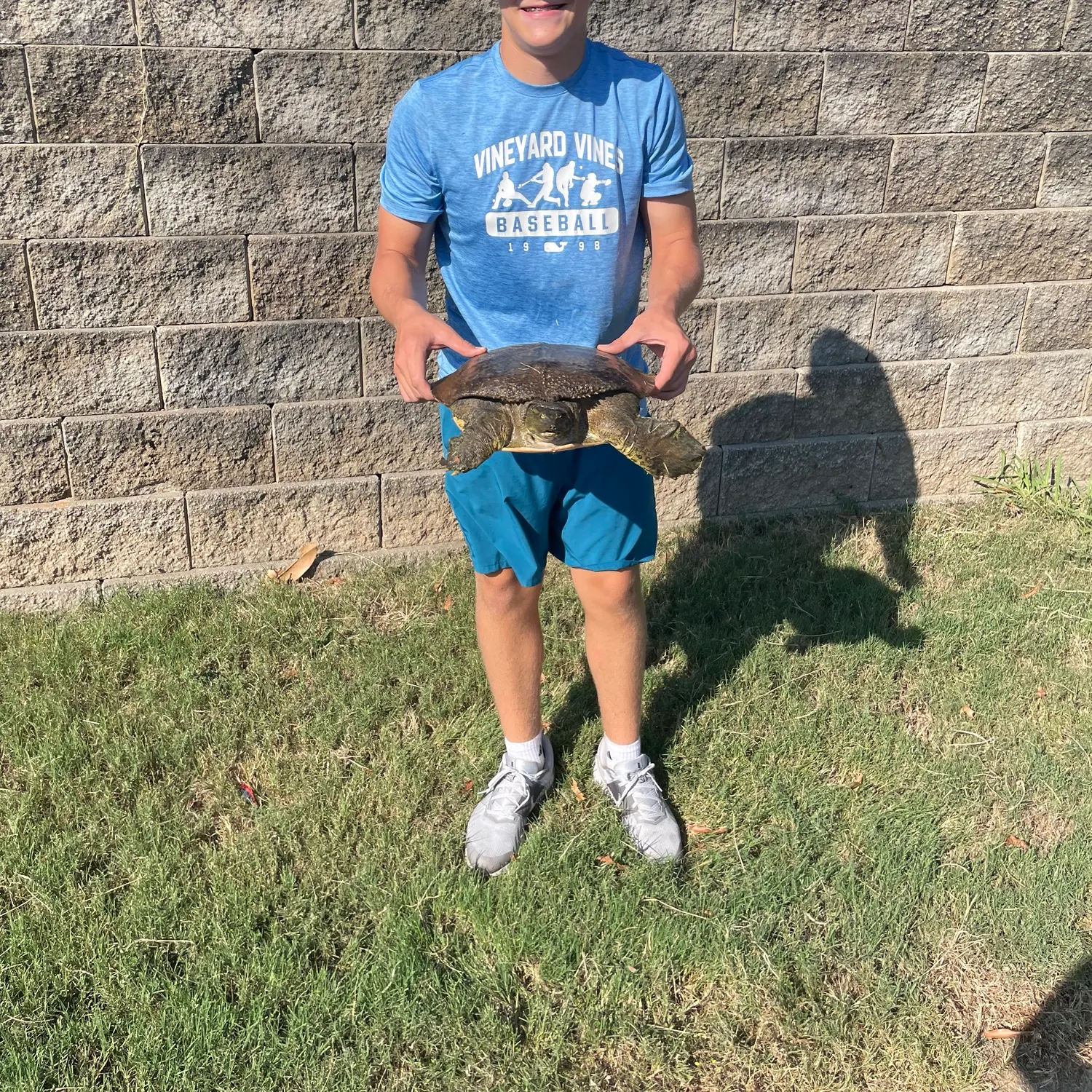The most recent Smooth softshell turtle catches on Fishbrain