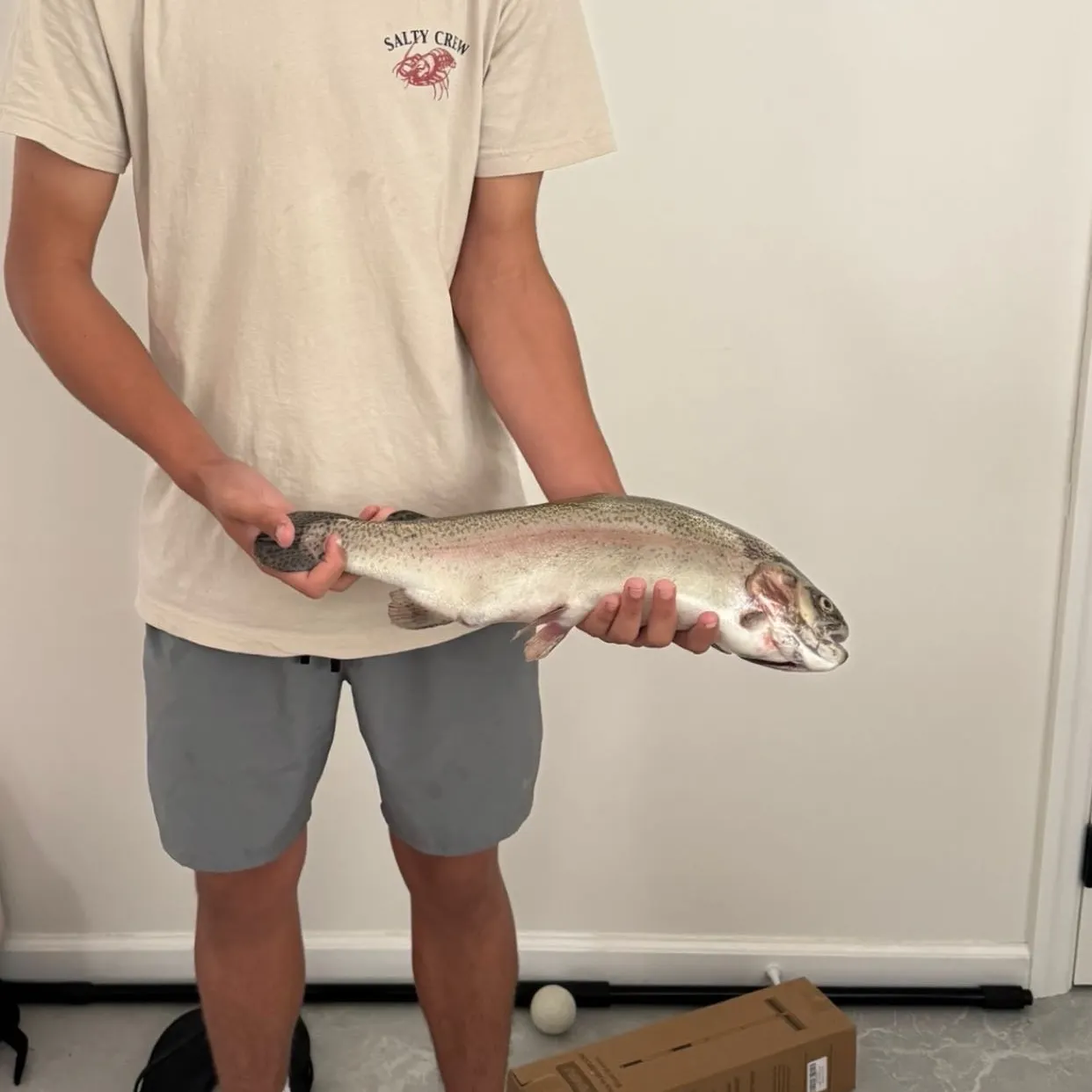 Rainbow trout caught on Fishbrain