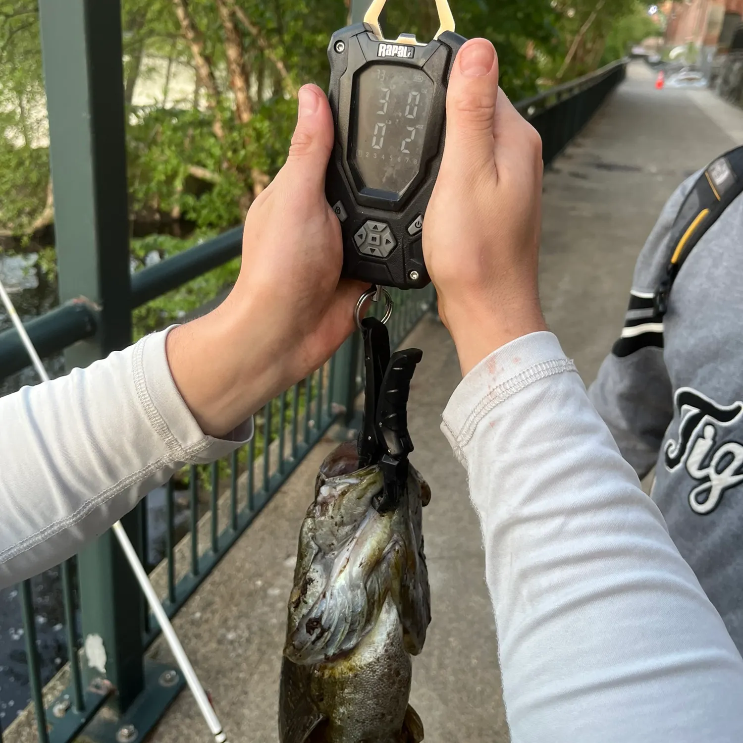 angler catch
