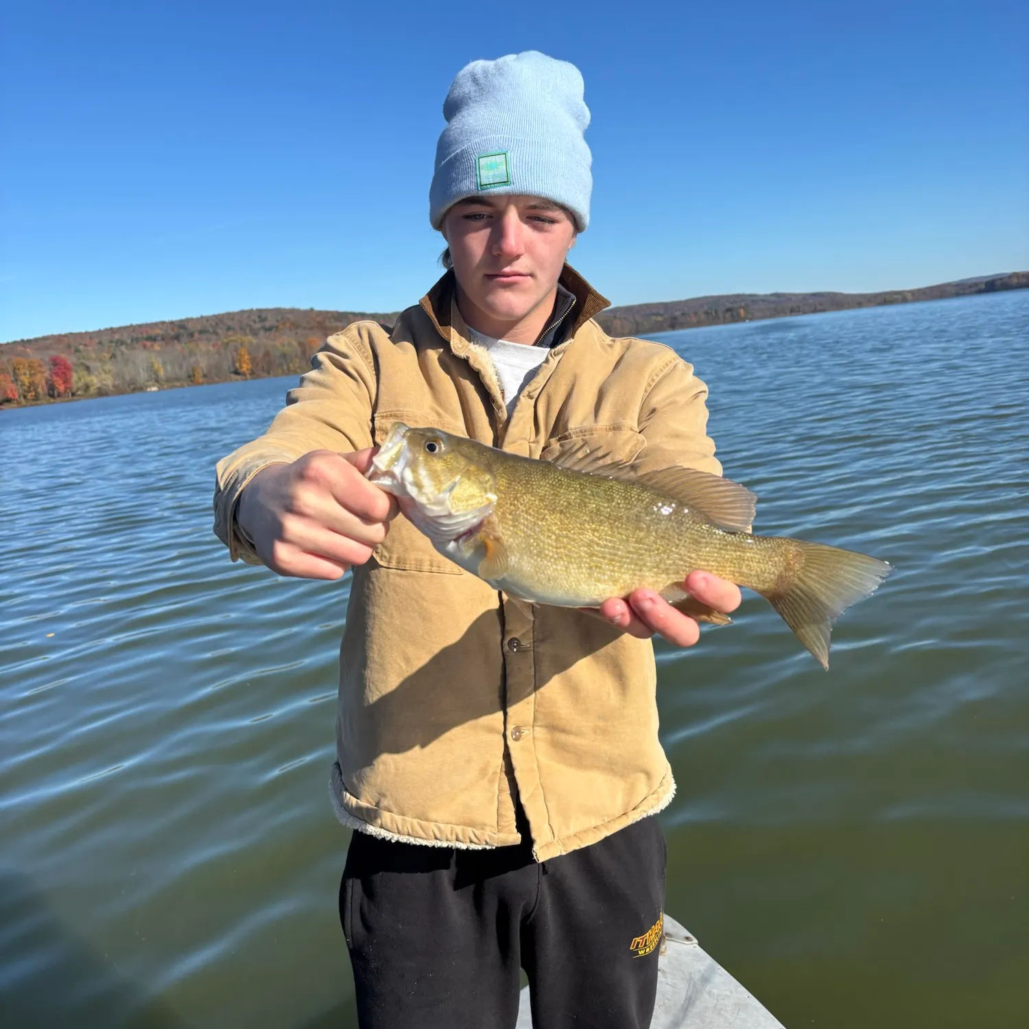 Smallmouth bass caught on Fishbrain
