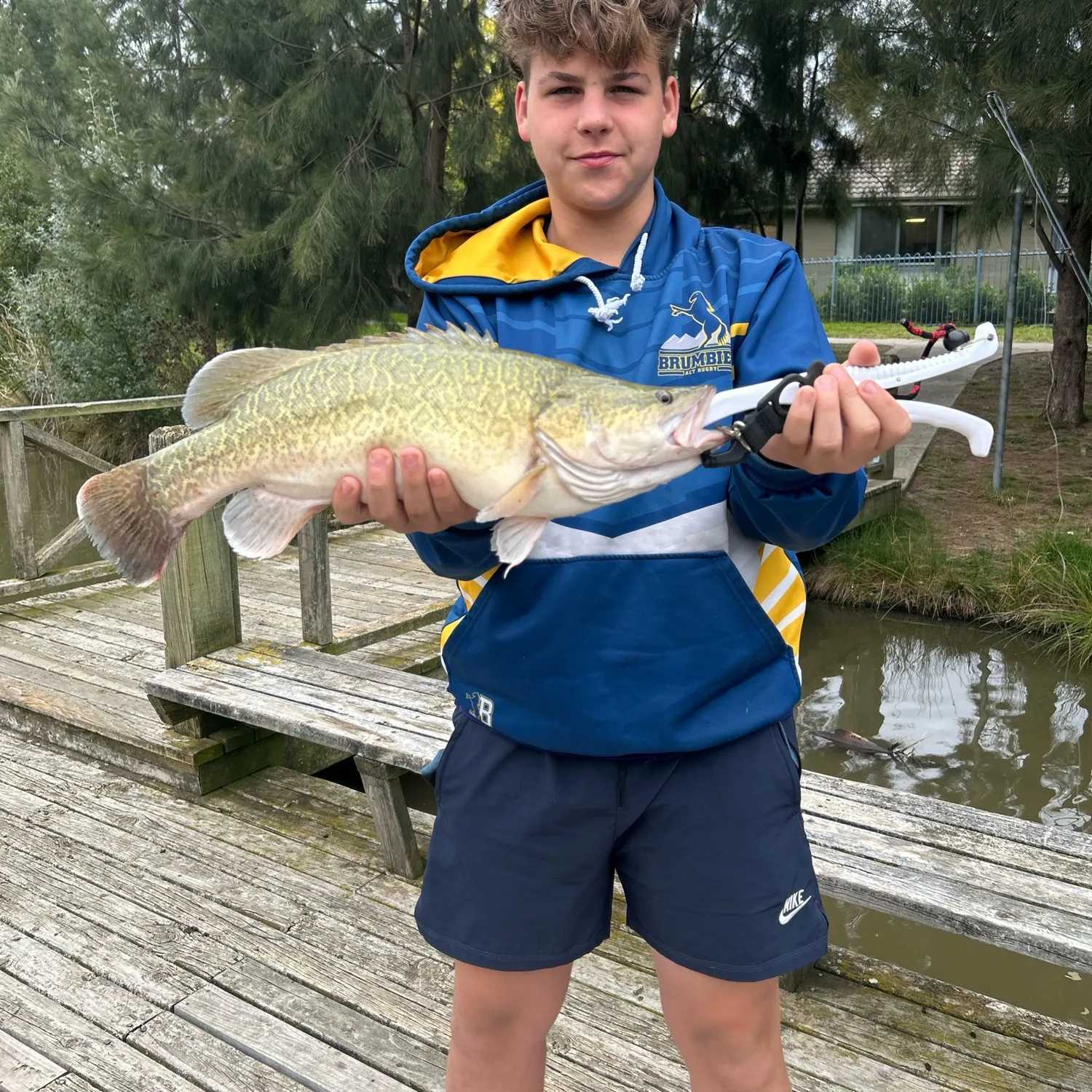 The most recent Murray cod catches on Fishbrain