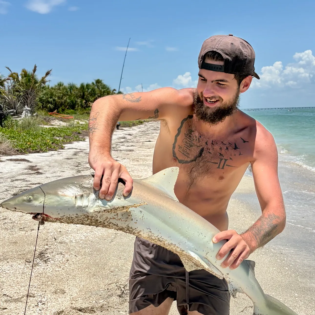 The most recent Atlantic sharpnose shark catches on Fishbrain