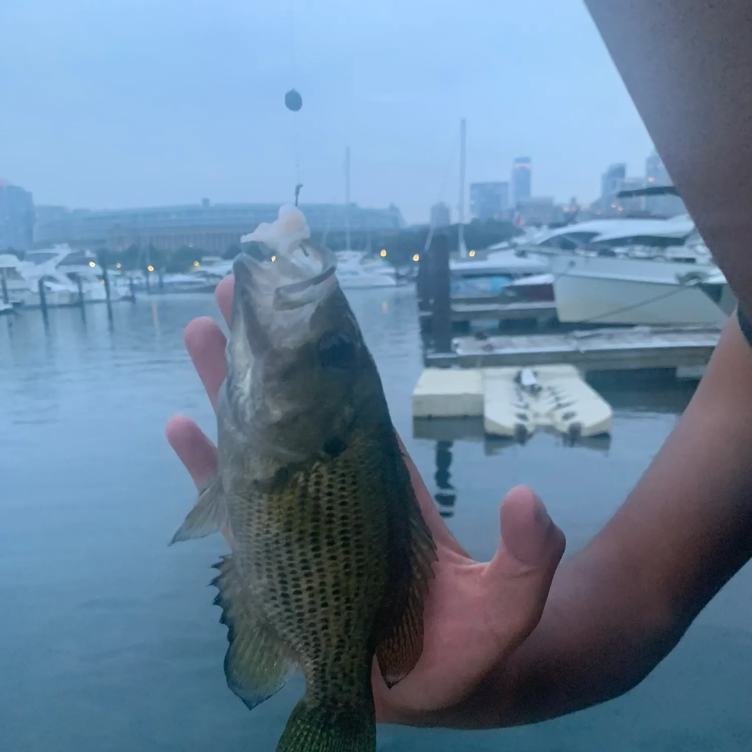 catch