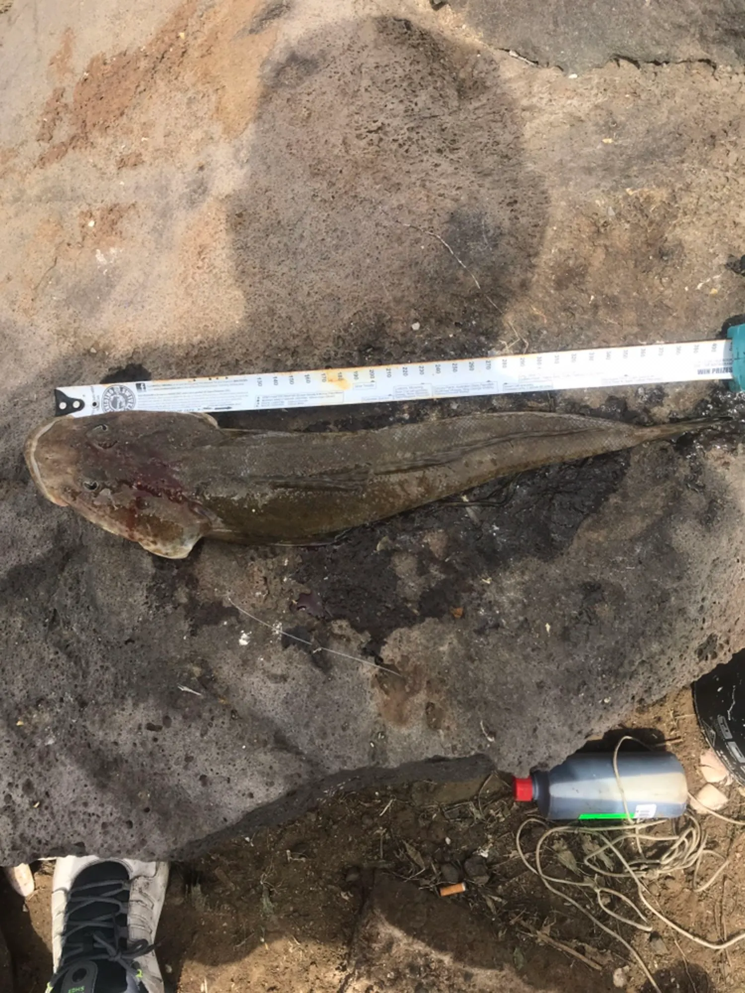 Post image from ayildirim1984