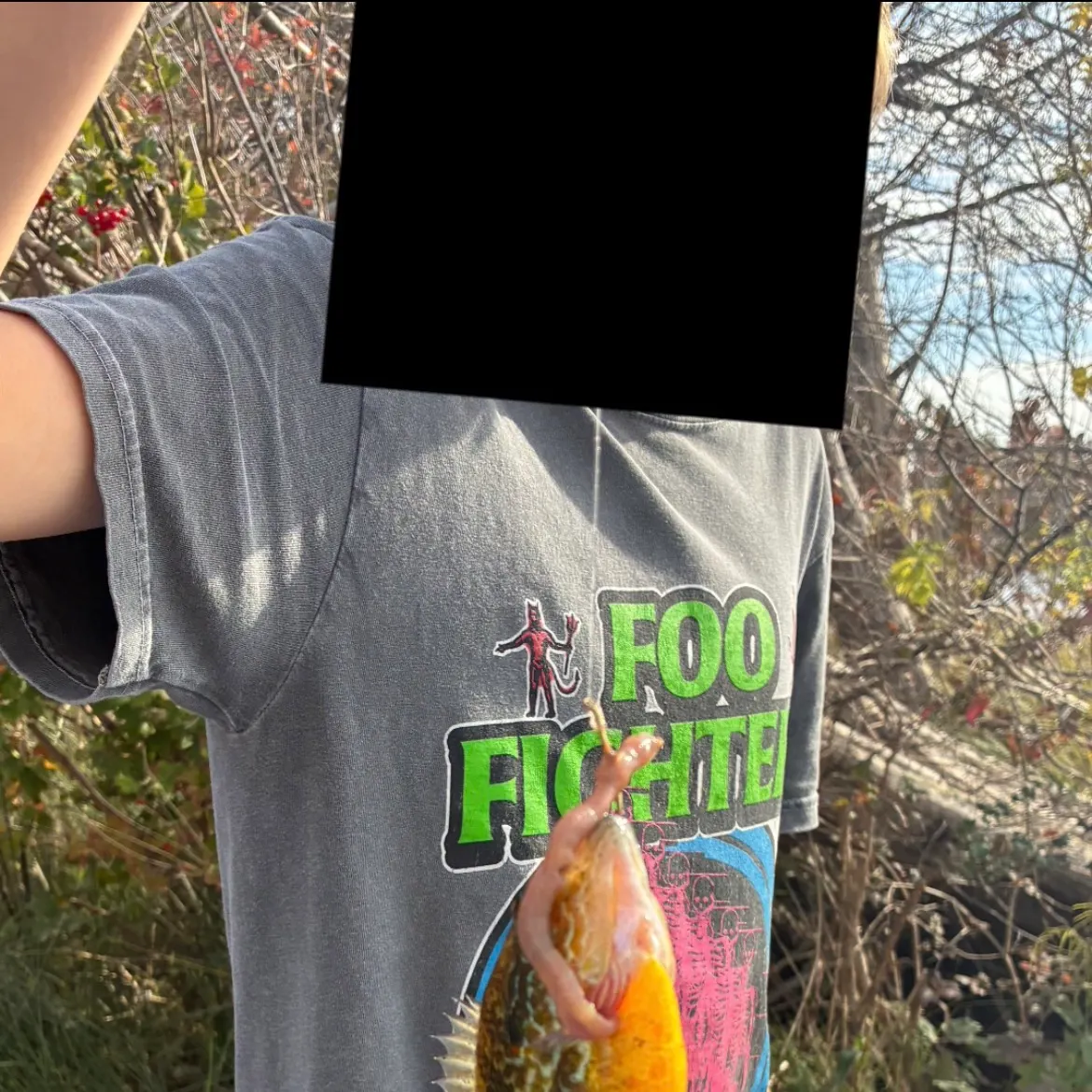 Pumpkinseed caught on Fishbrain