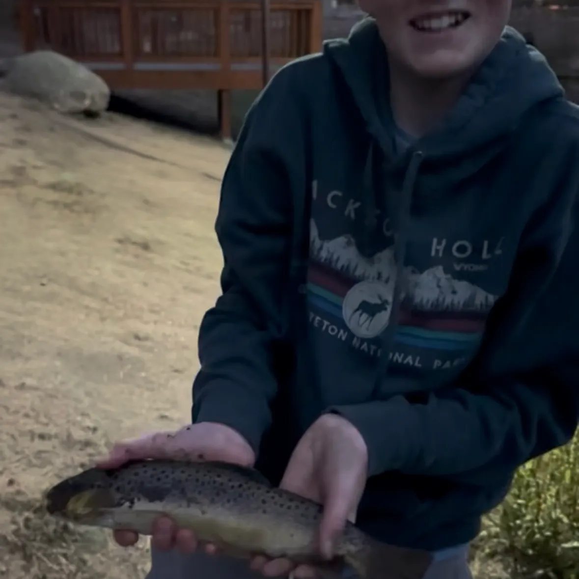 Brown trout caught on Fishbrain