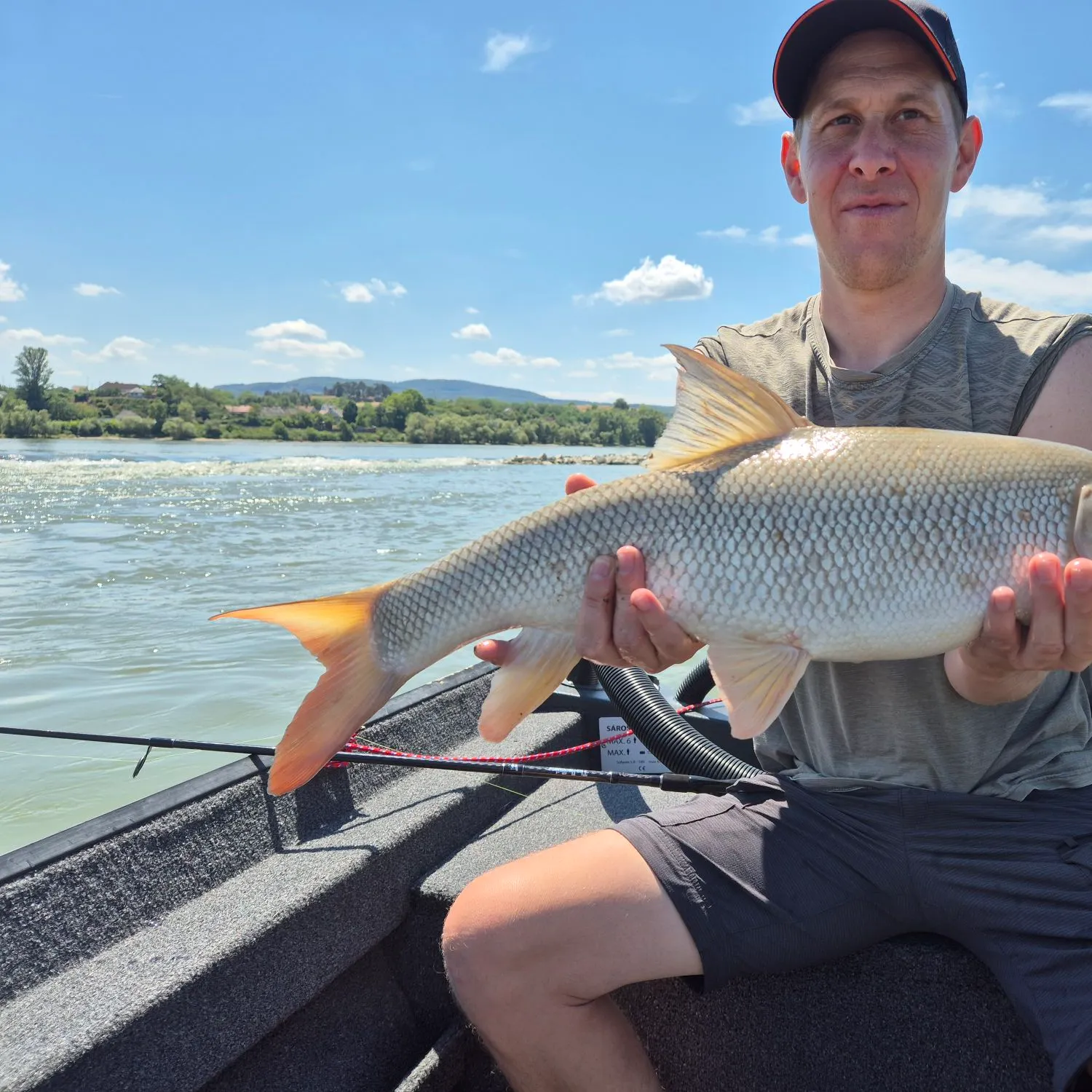 The most recent Common barbel catches on Fishbrain