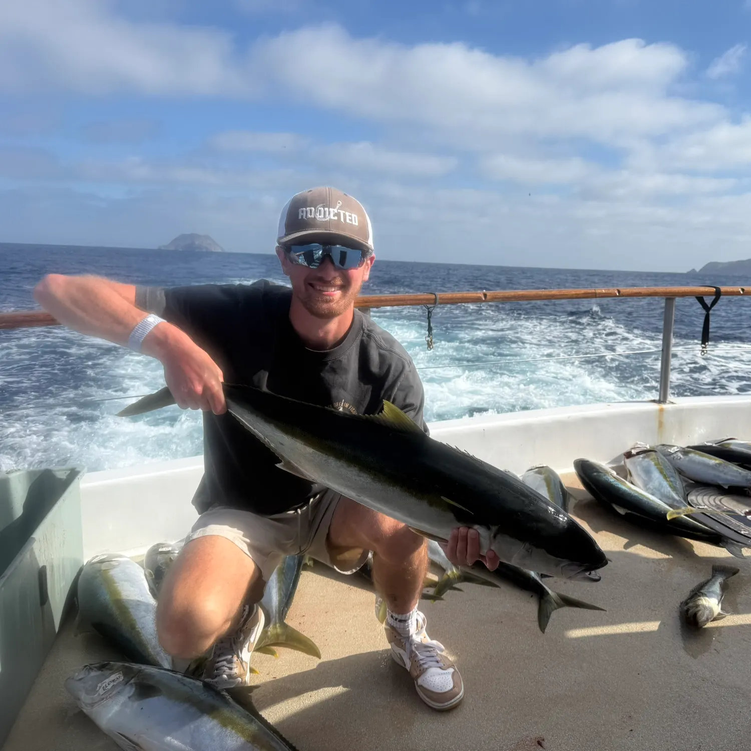 The most recent California yellowtail amberjack catches on Fishbrain