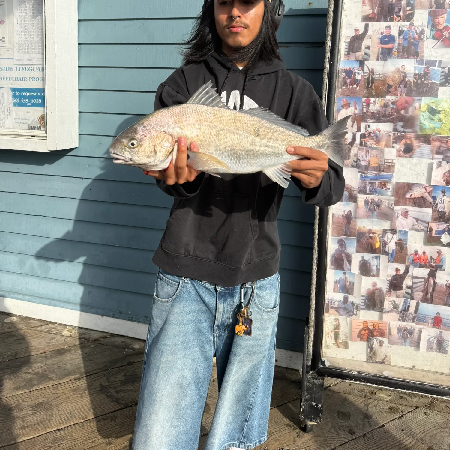 The most recent Spotfin croaker catches on Fishbrain