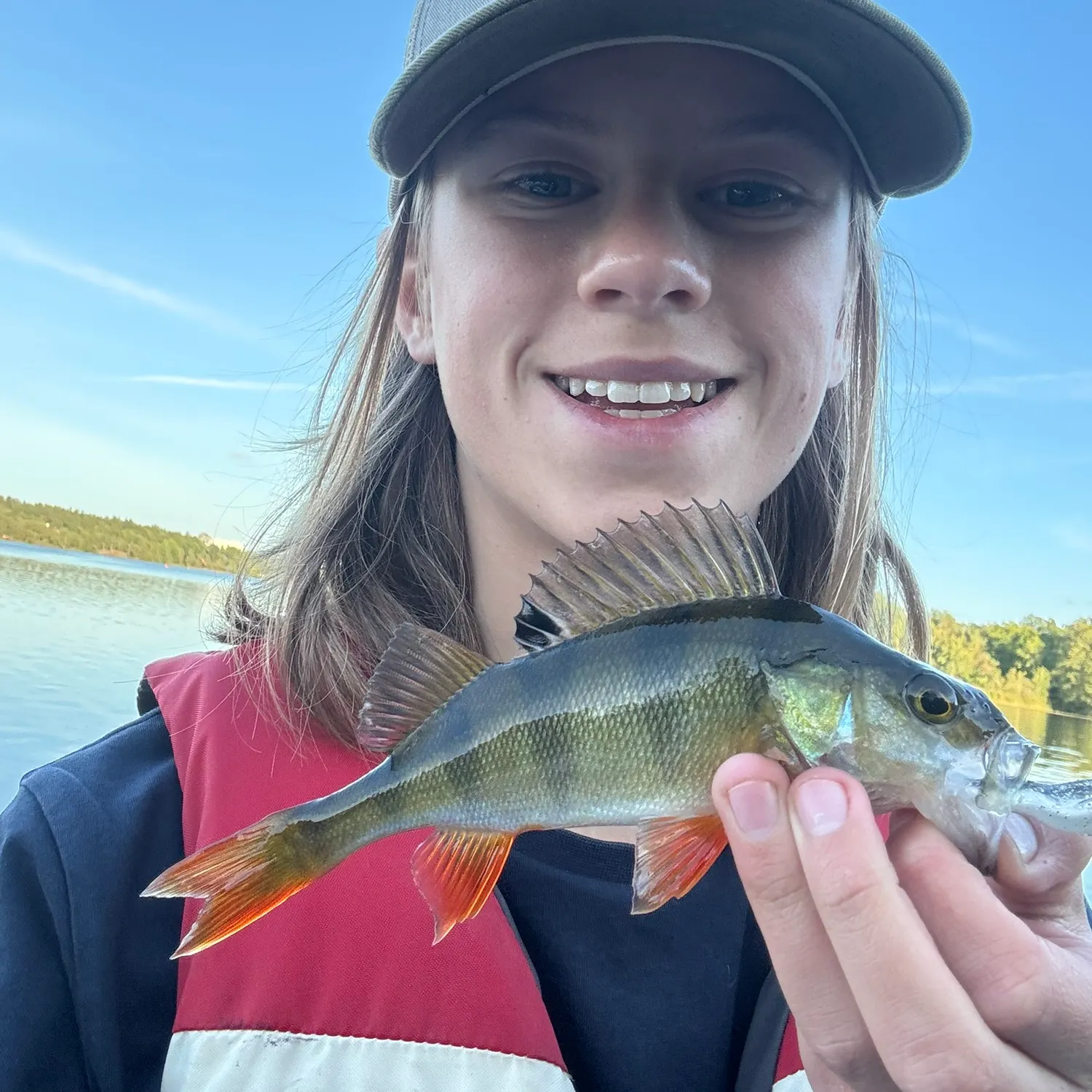 European perch caught on Fishbrain