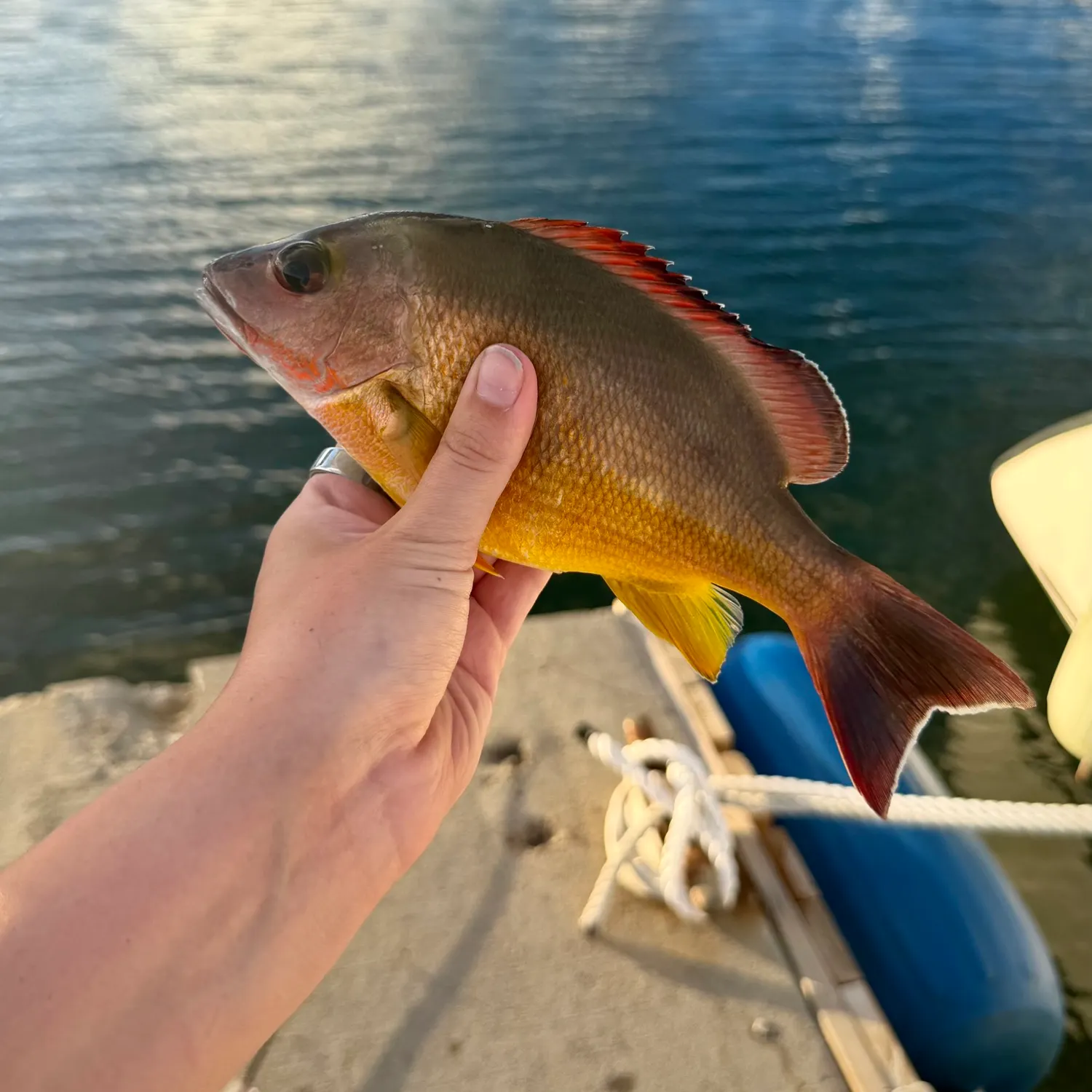 catch