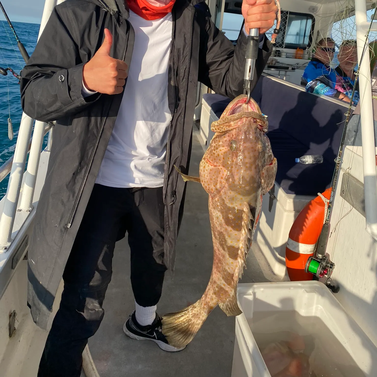 The most recent Greasy grouper catches on Fishbrain