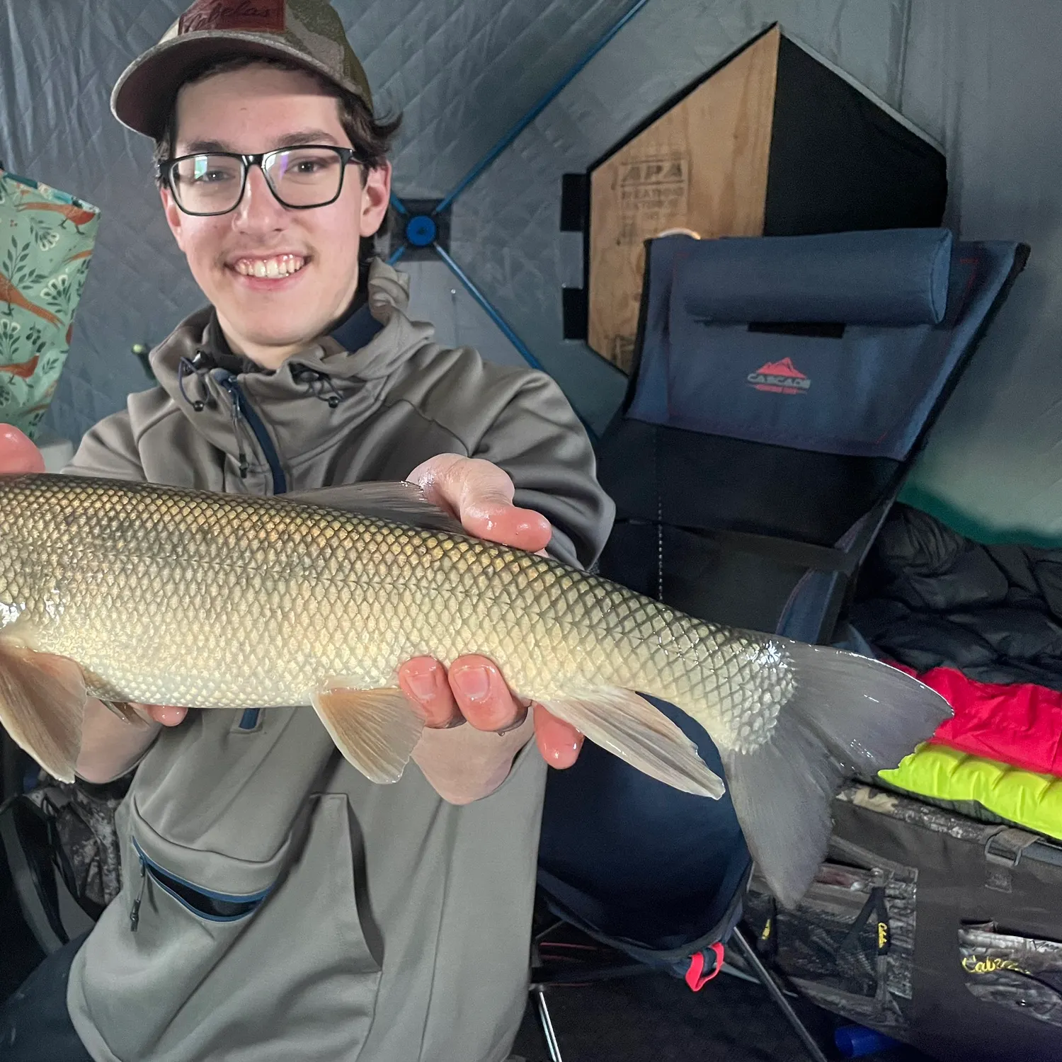 The most recent White sucker catches on Fishbrain