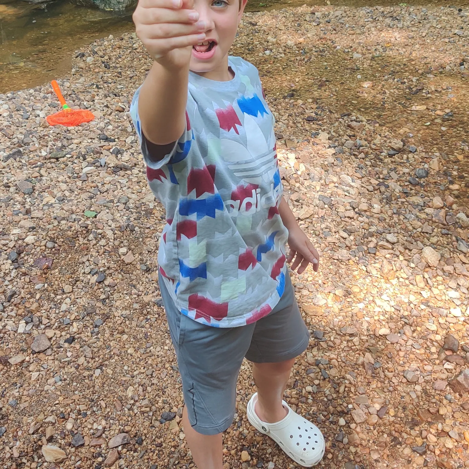 The most recent Bluntnose minnow catches on Fishbrain