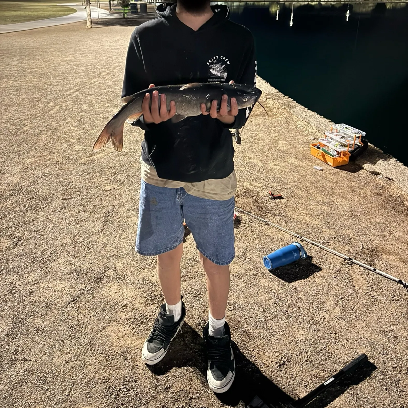 The most recent Channel catfish catches on Fishbrain