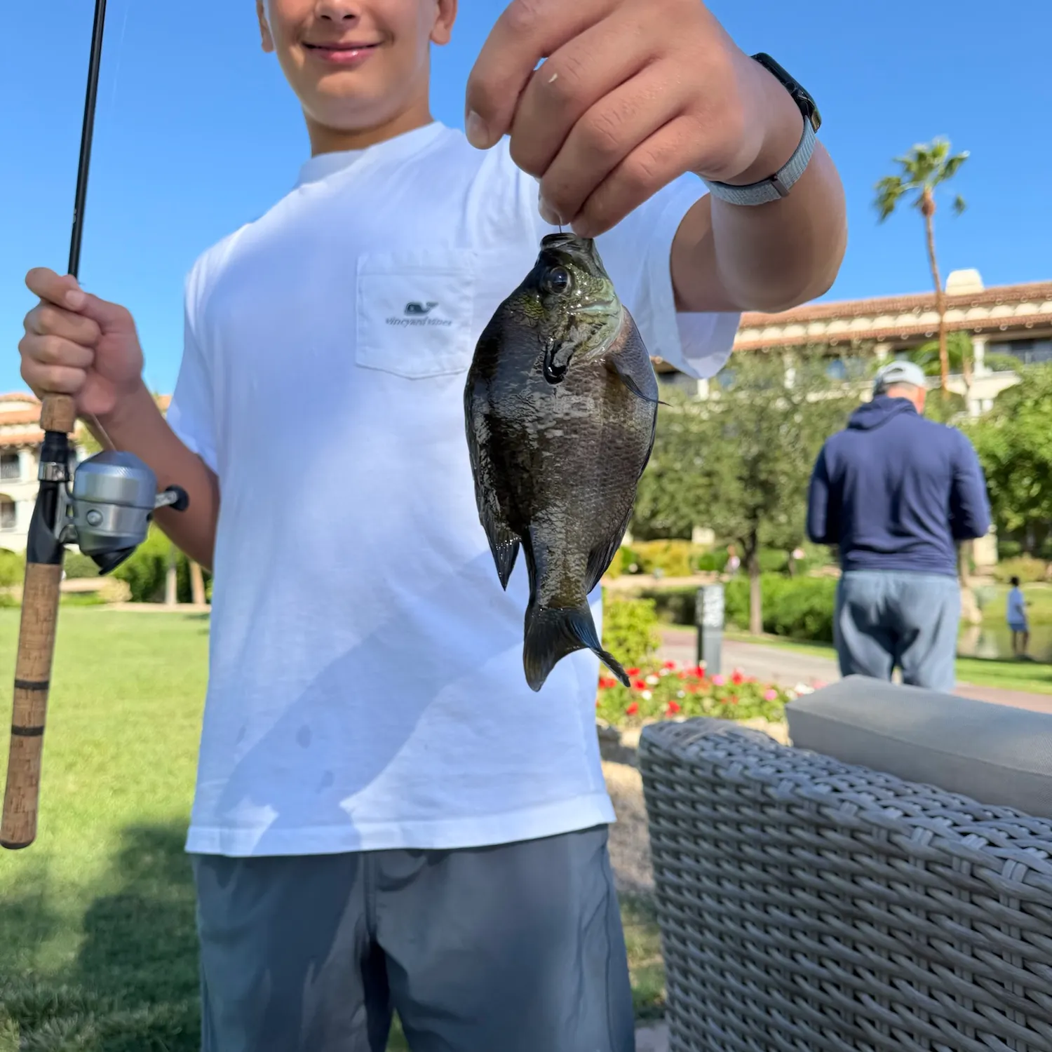 The most recent Coppernose bluegill catches on Fishbrain