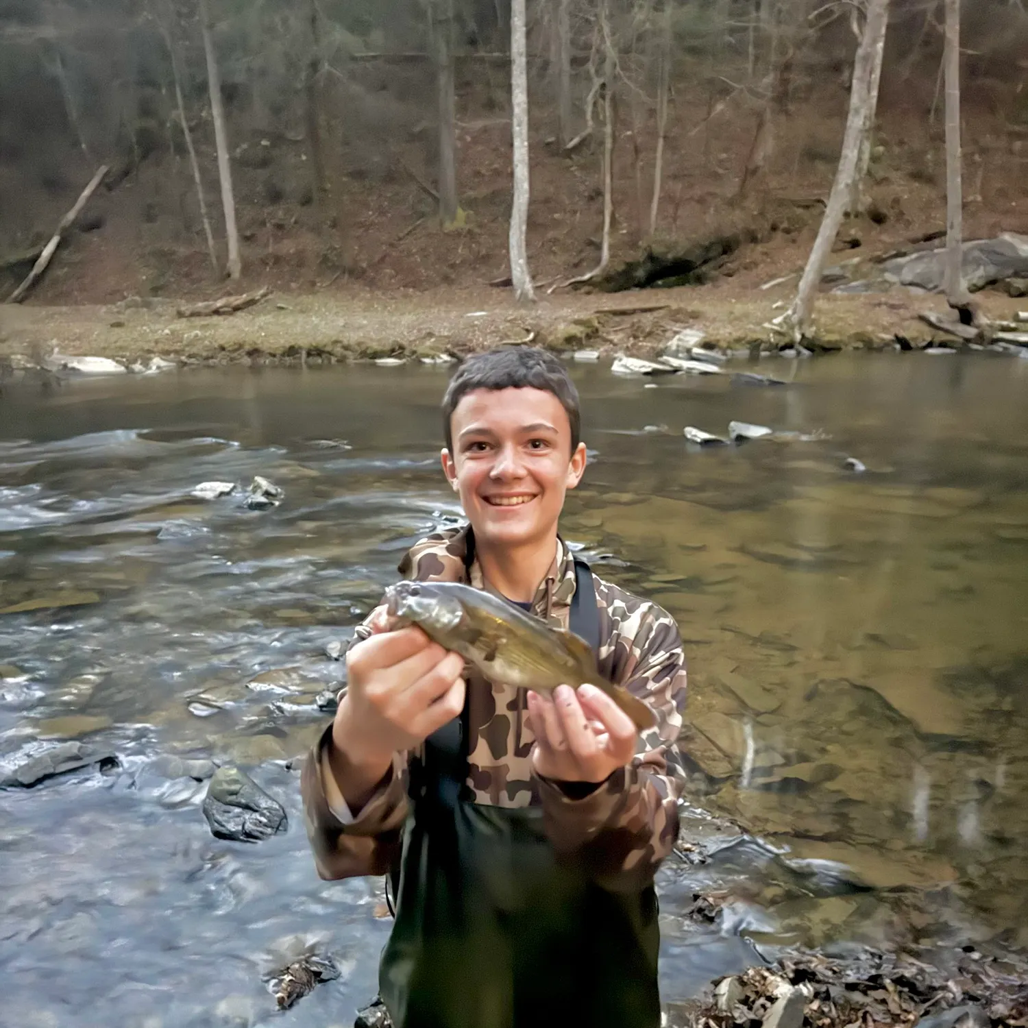 The most recent Rock bass catches on Fishbrain