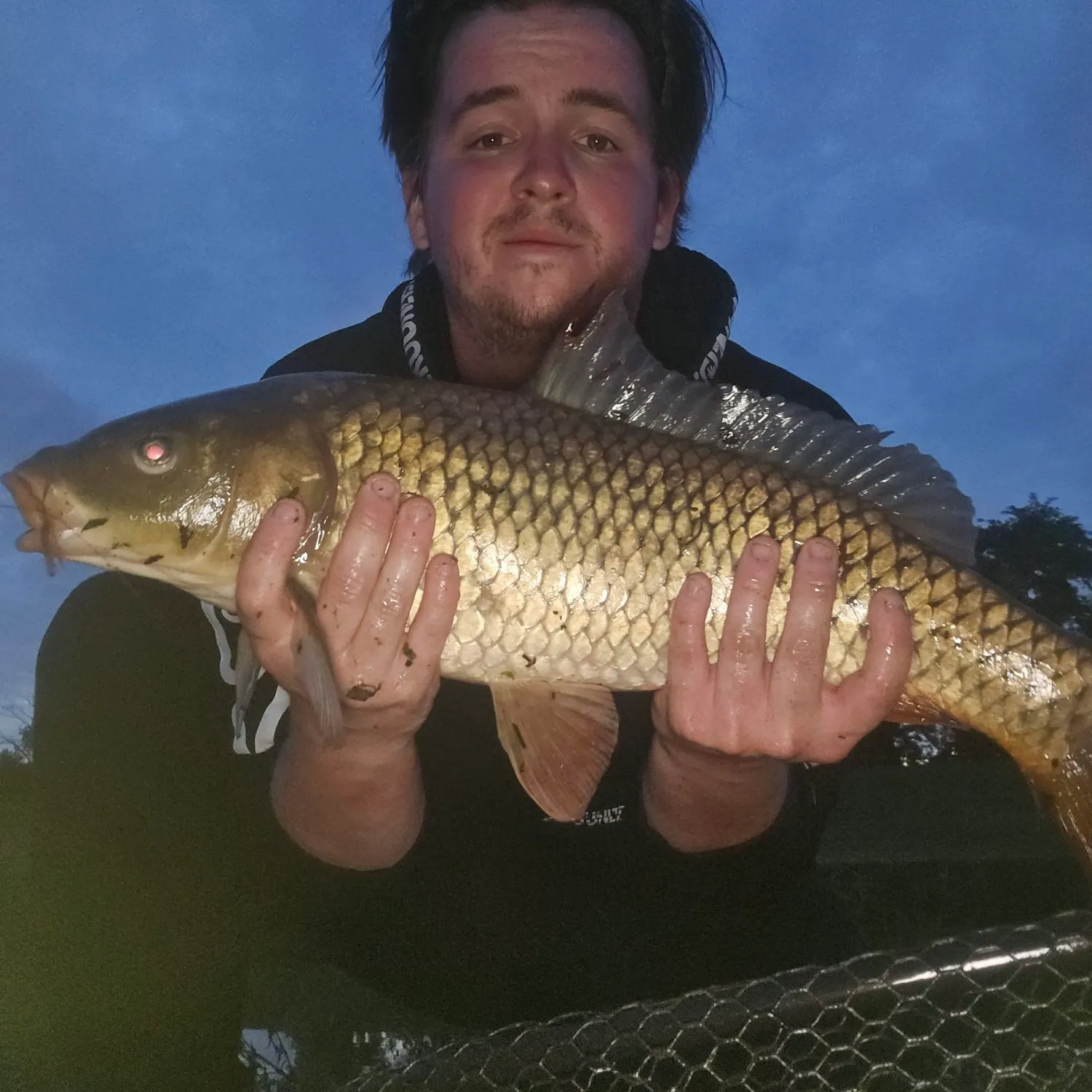 Common carp caught on Fishbrain