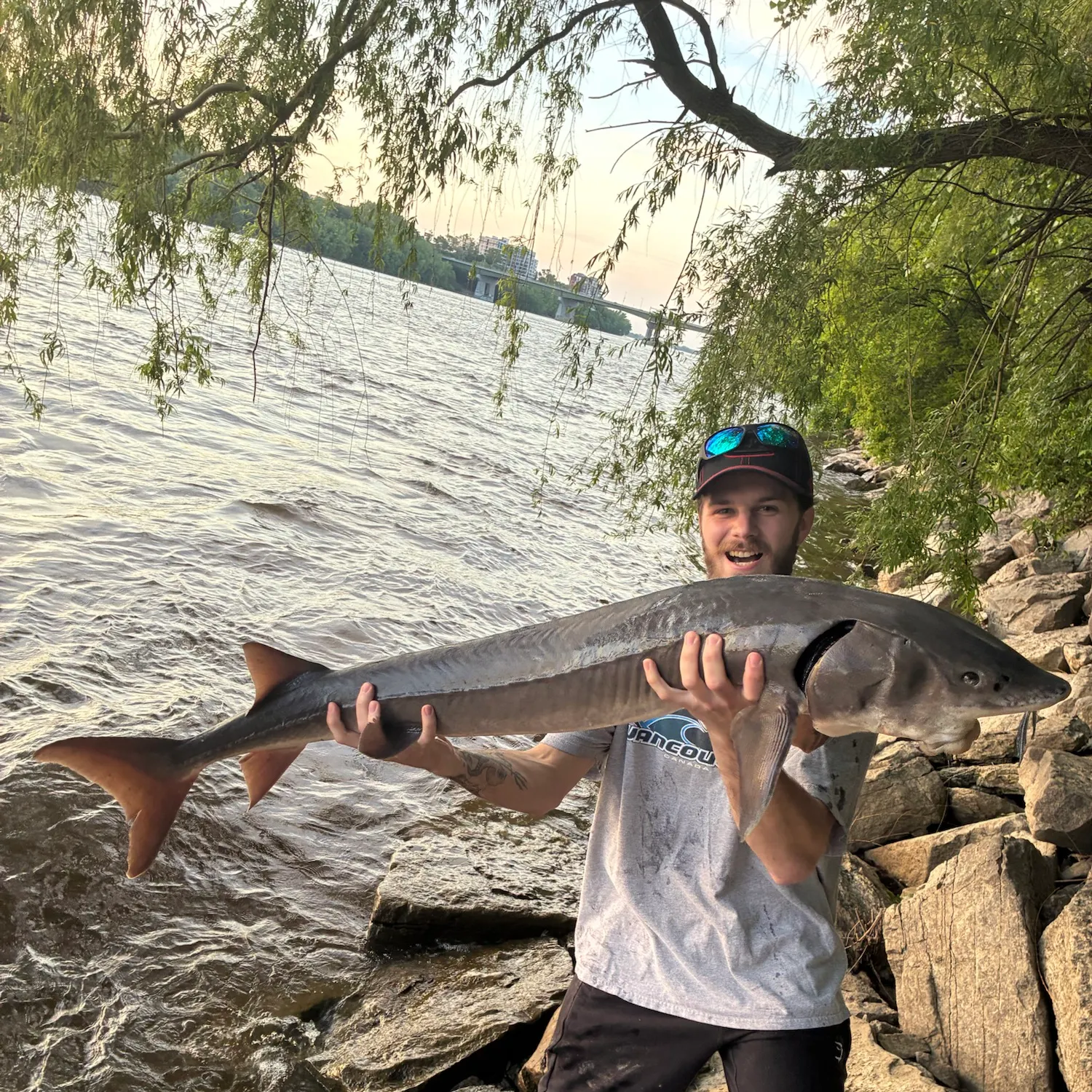 catch
