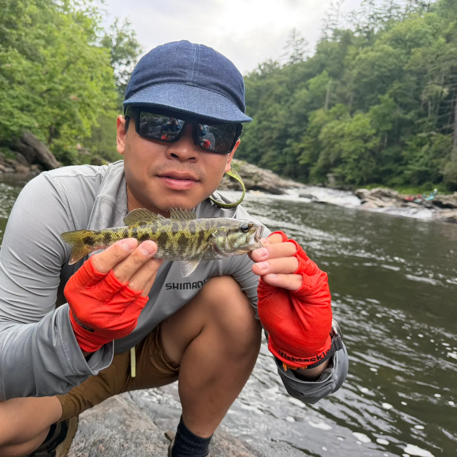 The most recent Redeye bass catches on Fishbrain