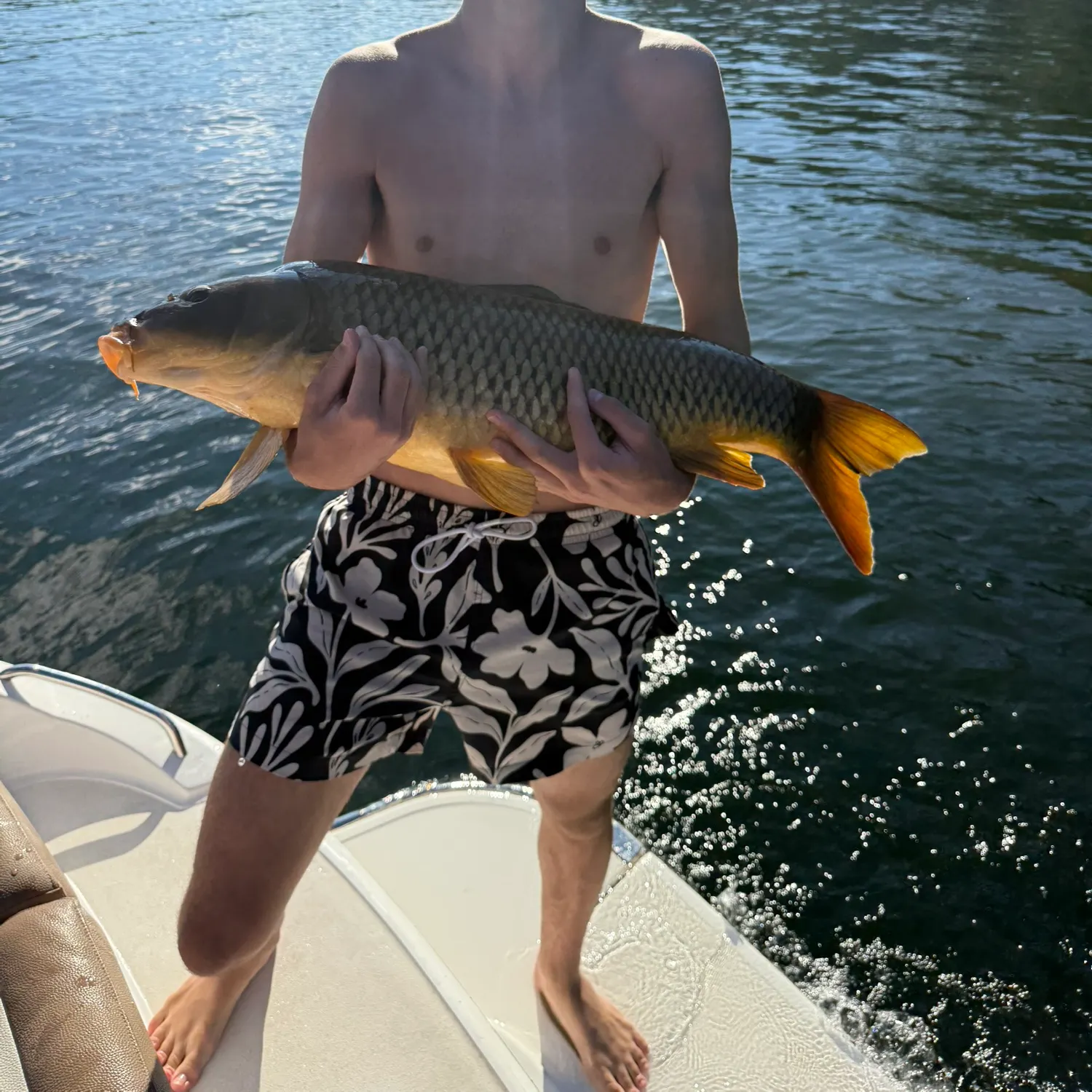 Grass carp caught on Fishbrain