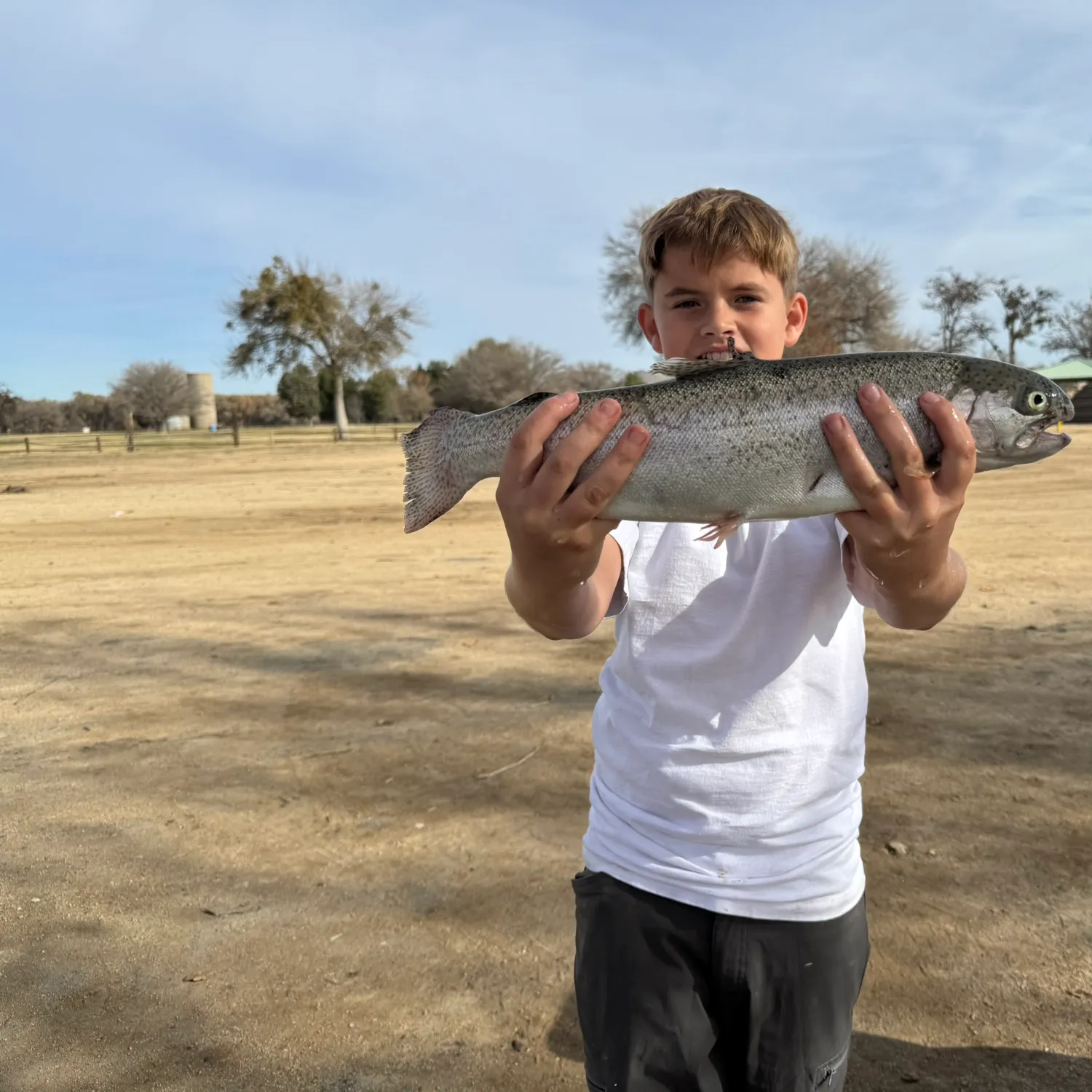 The most recent Steelhead catches on Fishbrain