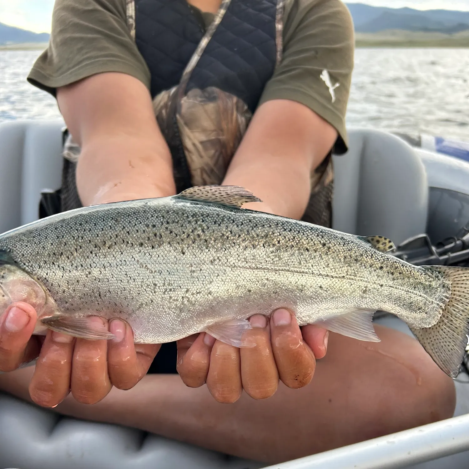 The most recent Kokanee salmon catches on Fishbrain