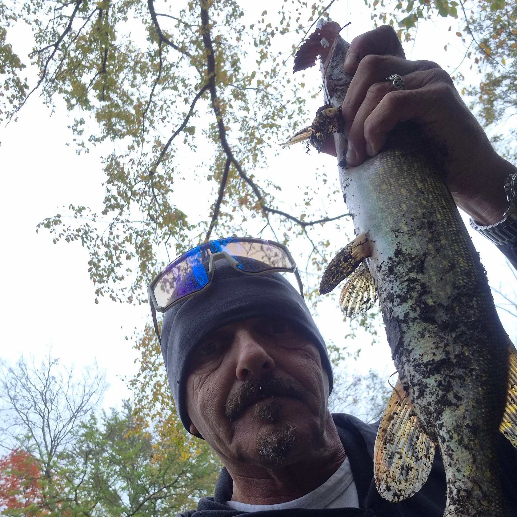 Northern pike caught on Fishbrain