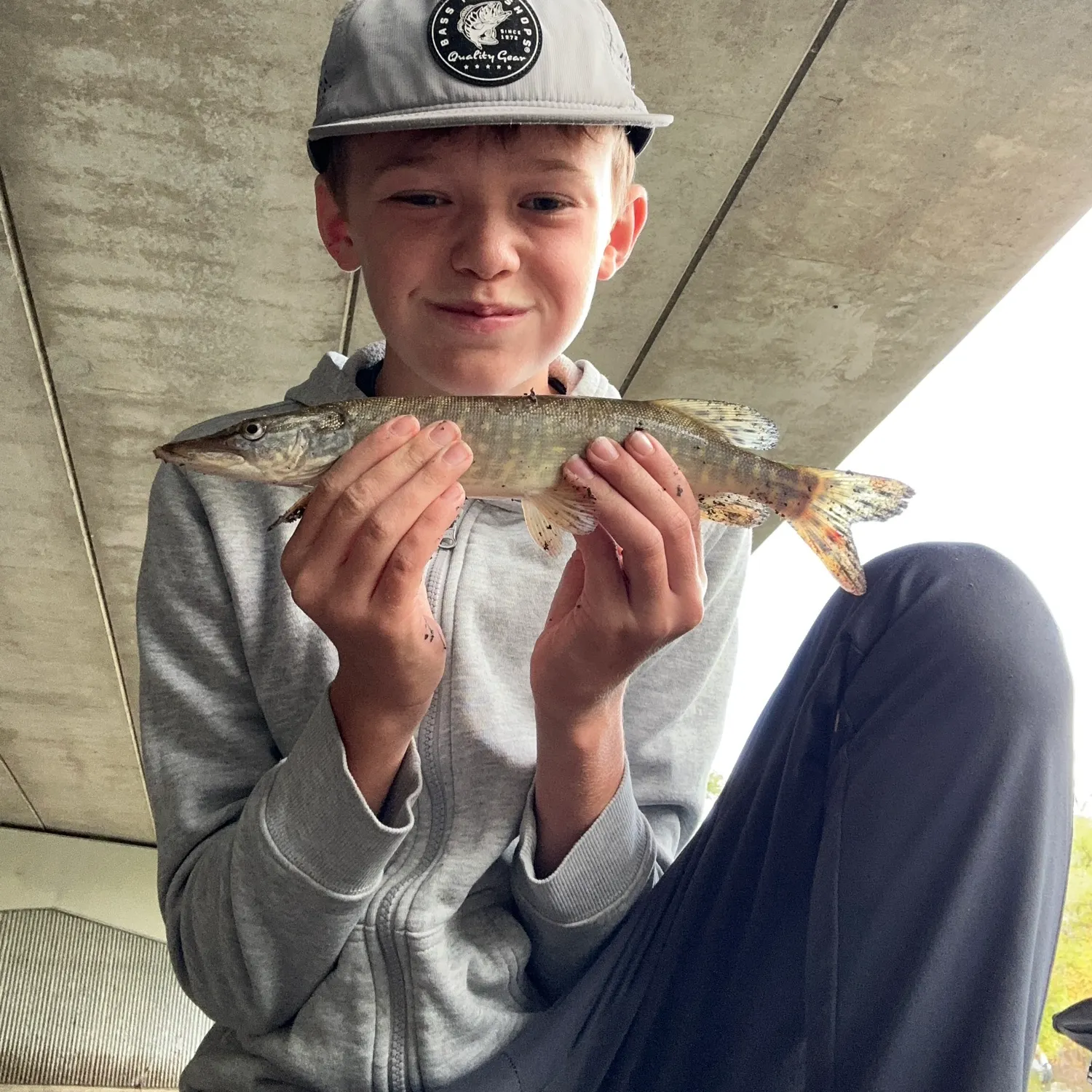 Northern pike caught on Fishbrain