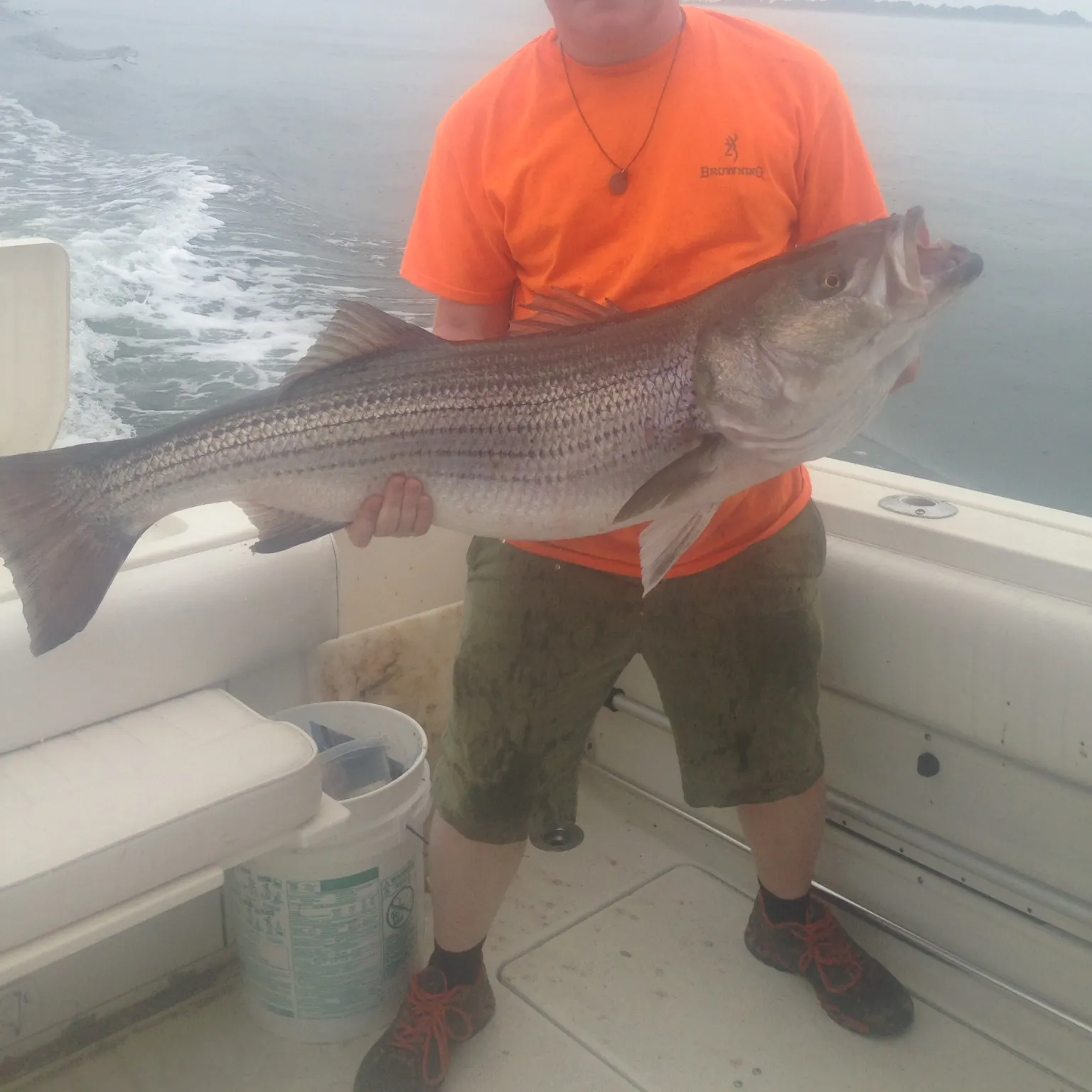 The most recent Striped bass catches on Fishbrain