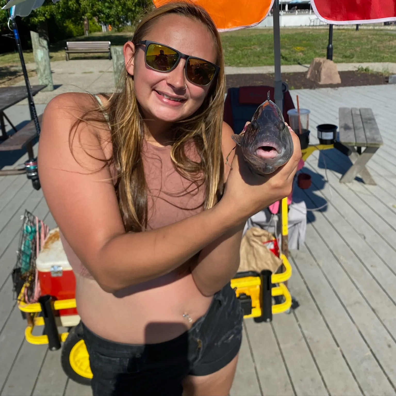 The most recent Tautog catches on Fishbrain