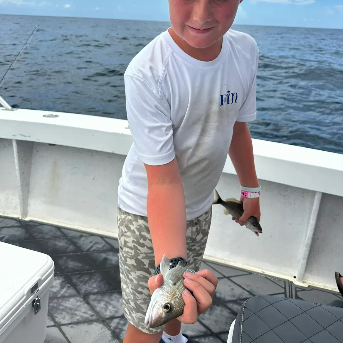 The most recent V-lip redhorse catches on Fishbrain