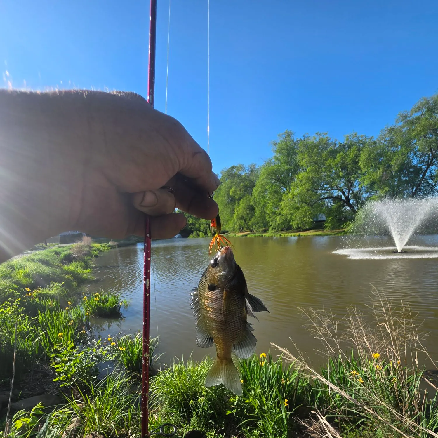 catch