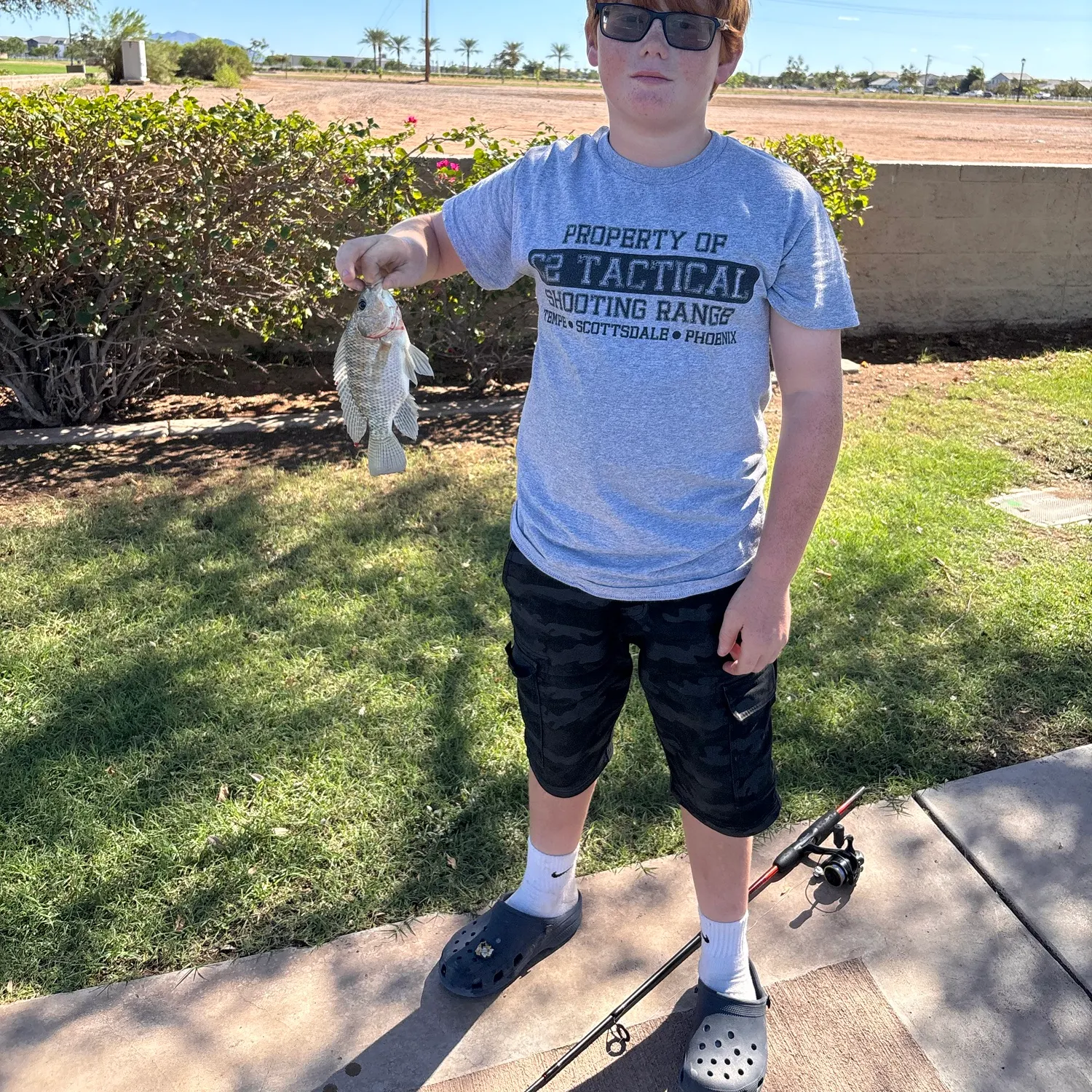 Nile tilapia caught on Fishbrain